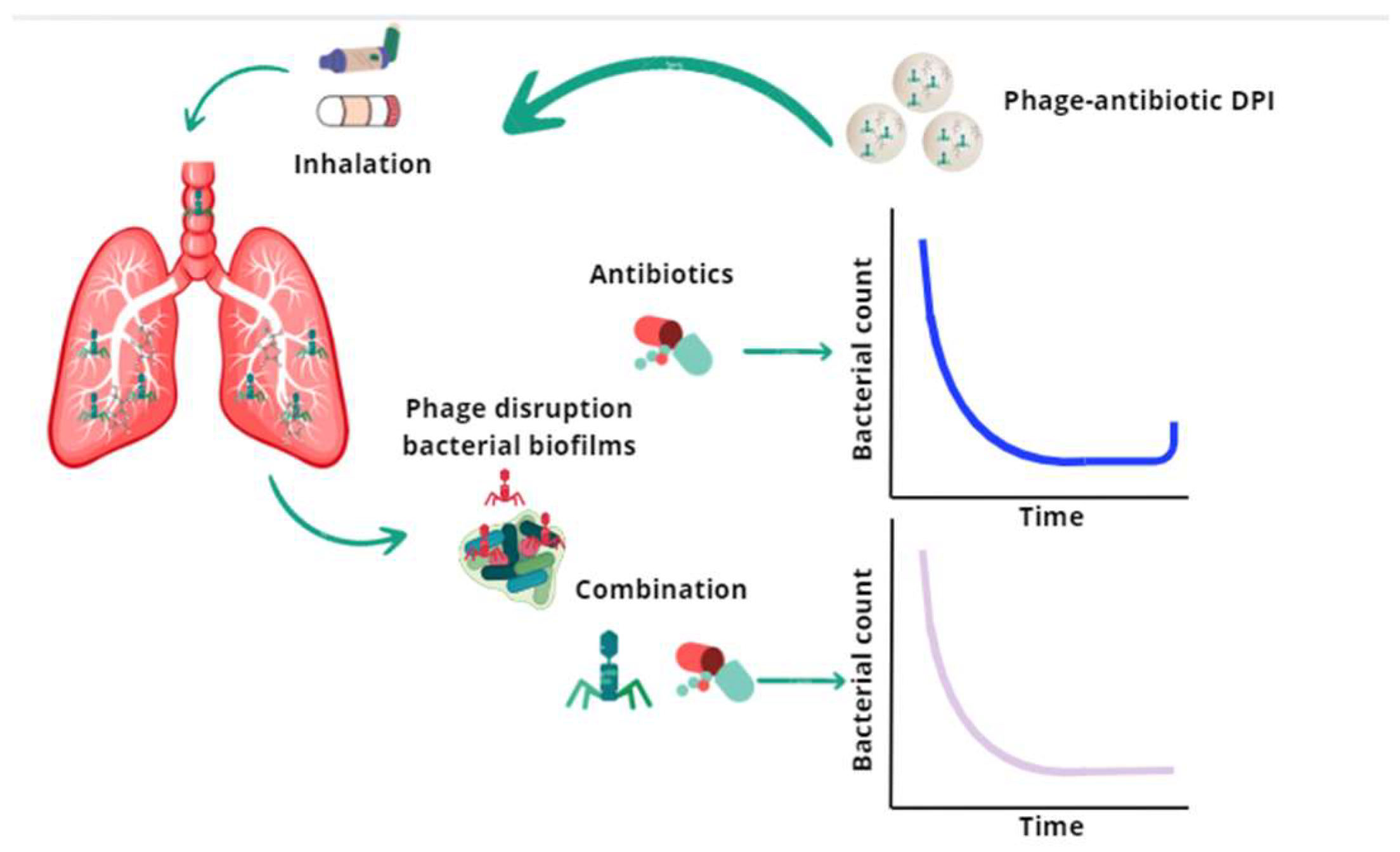 Pharmaceutics 17 01077 g004 Pharmaceutics 17 01077 g004