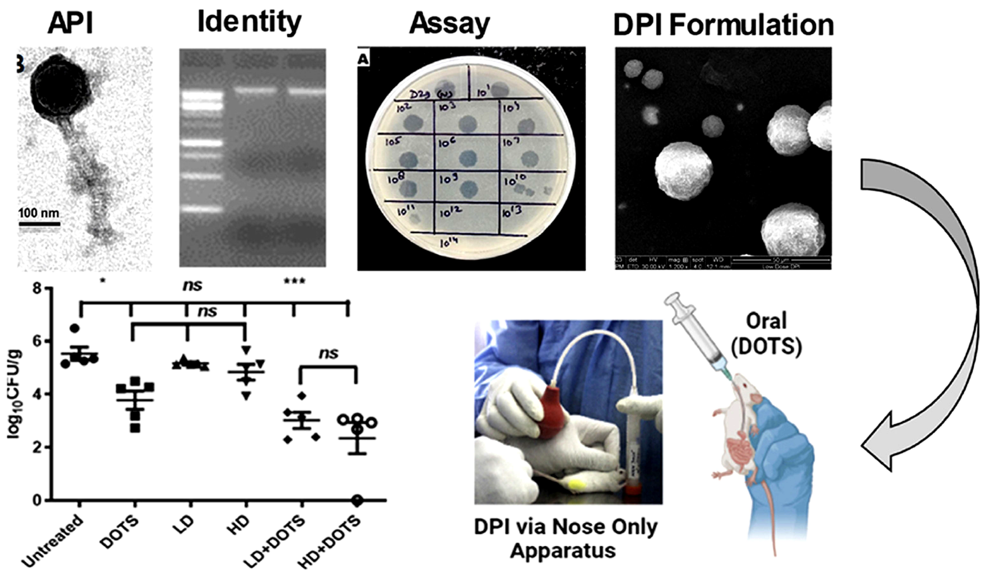 Pharmaceutics 17 01077 g005 Pharmaceutics 17 01077 g005