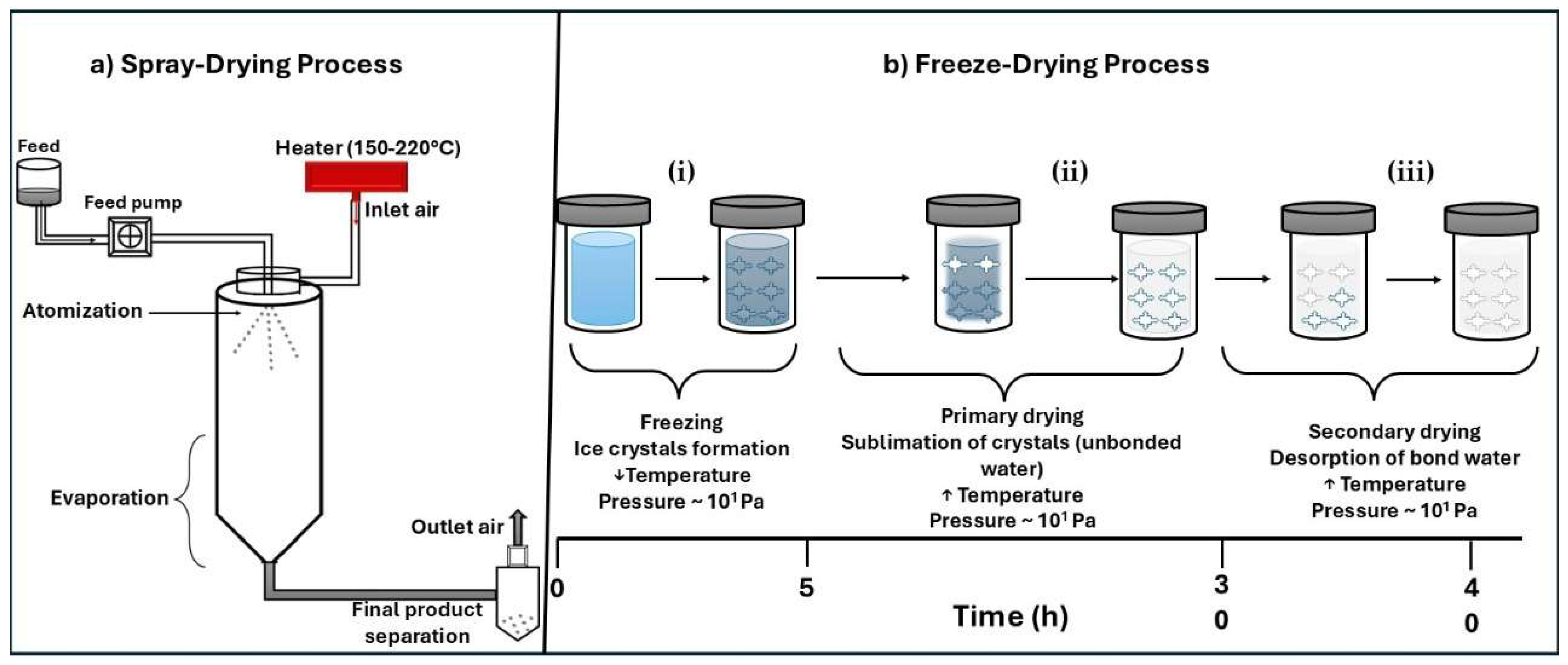 Pharmaceutics 17 01077 g006 Pharmaceutics 17 01077 g006