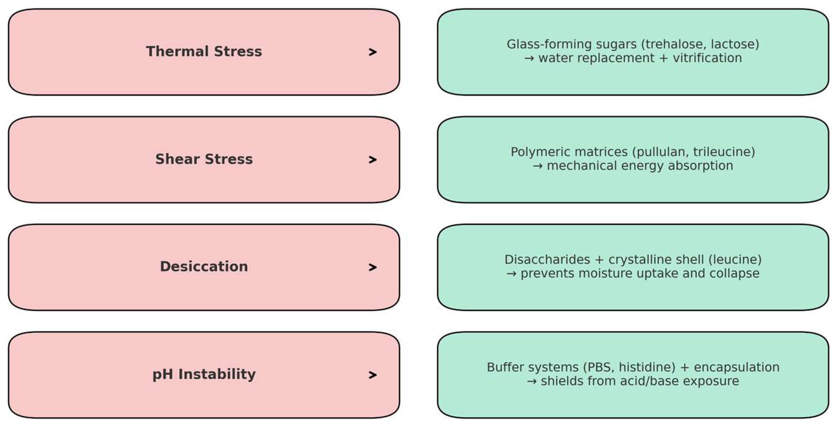 Pharmaceutics 17 01077 g007 Pharmaceutics 17 01077 g007