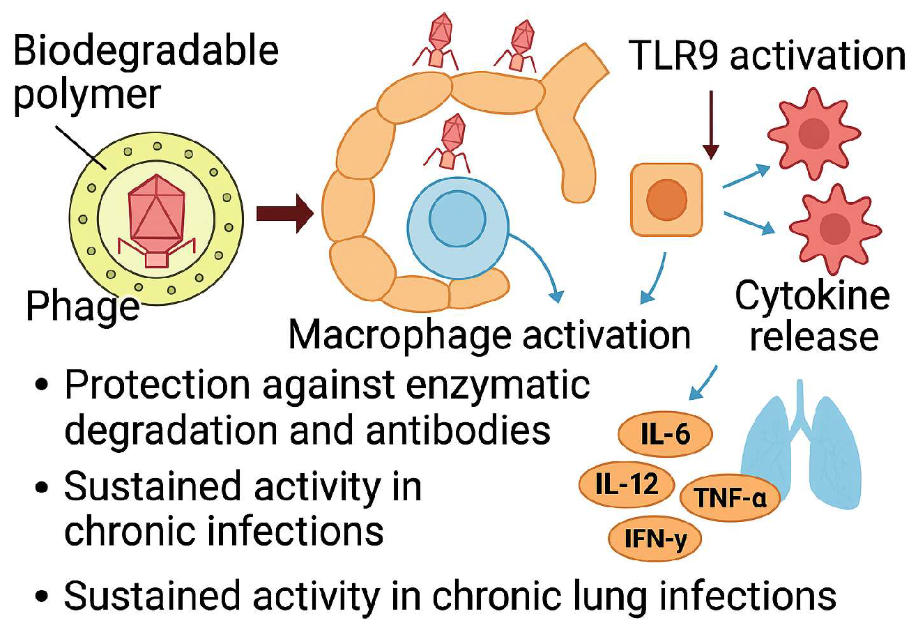 Pharmaceutics 17 01077 g008 Pharmaceutics 17 01077 g008