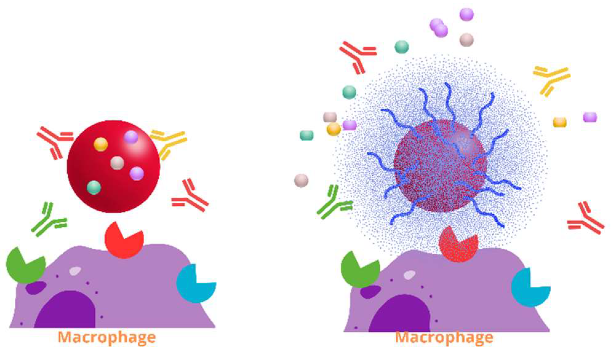Pharmaceutics 17 01077 g009 Pharmaceutics 17 01077 g009