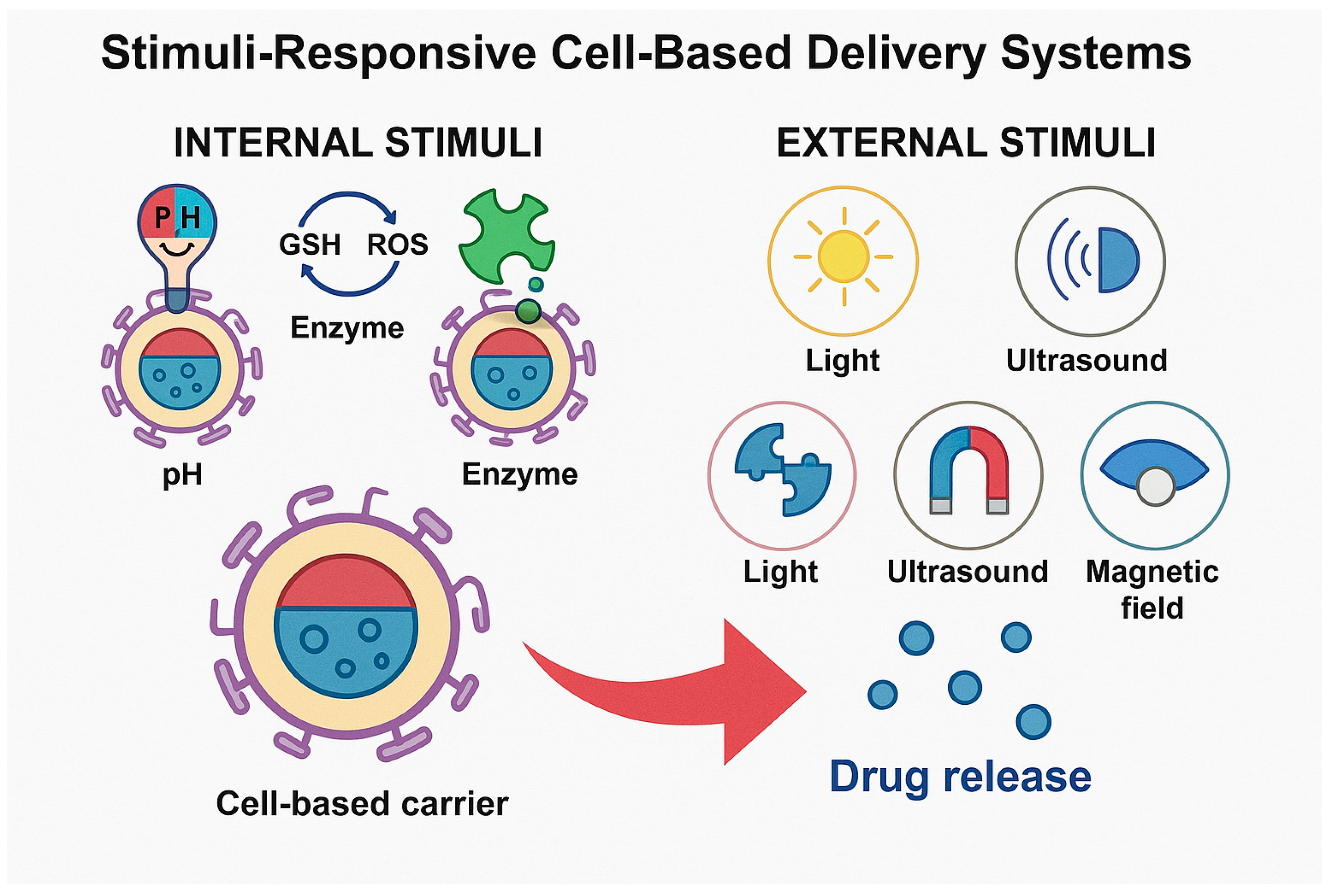 Pharmaceutics 17 01082 g001