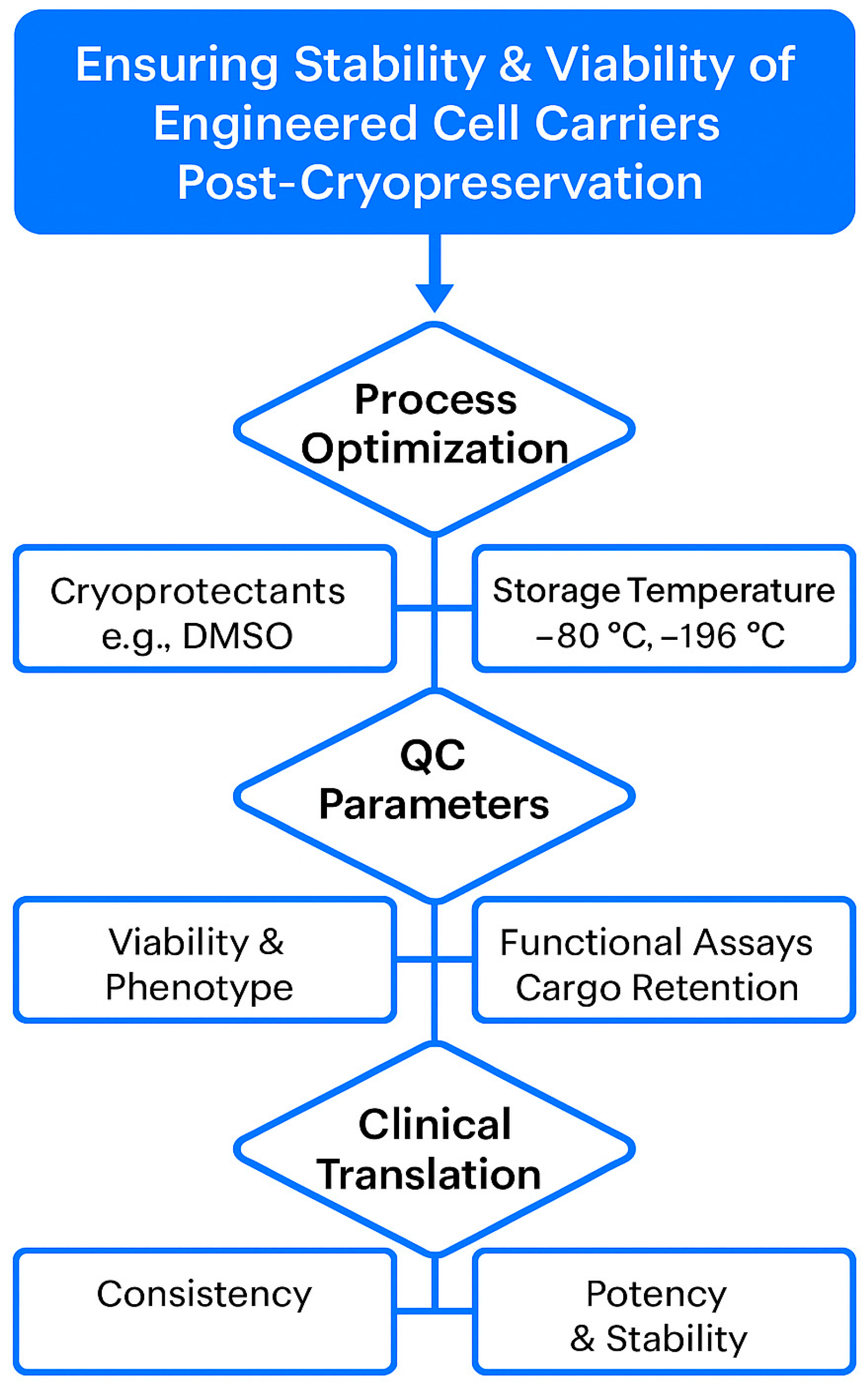 Pharmaceutics 17 01082 g002