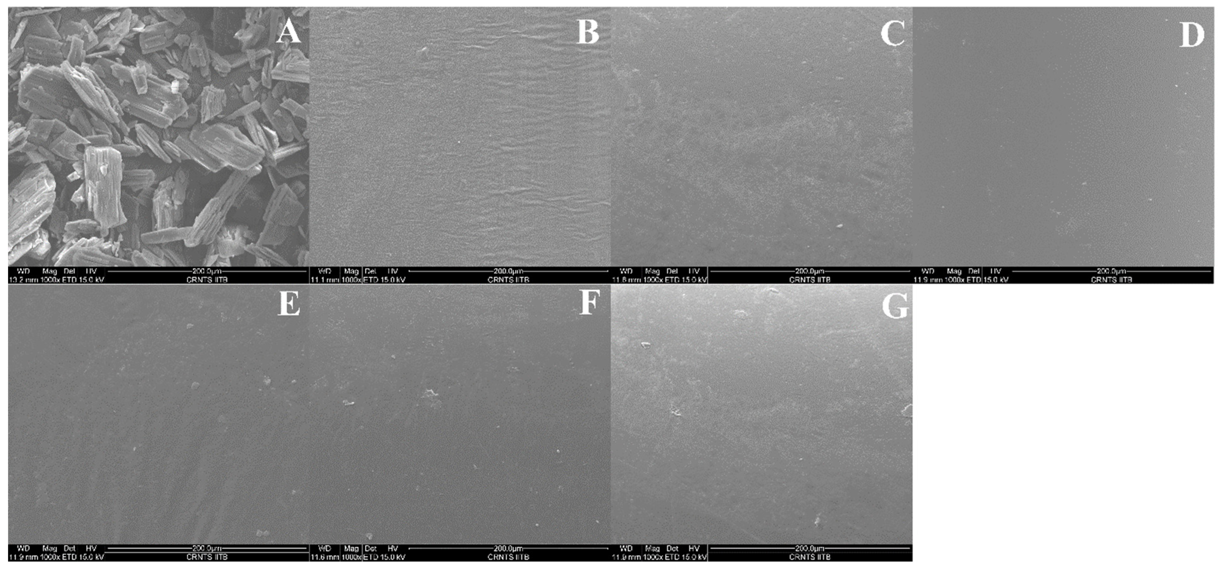 Pharmaceutics 17 01090 g007