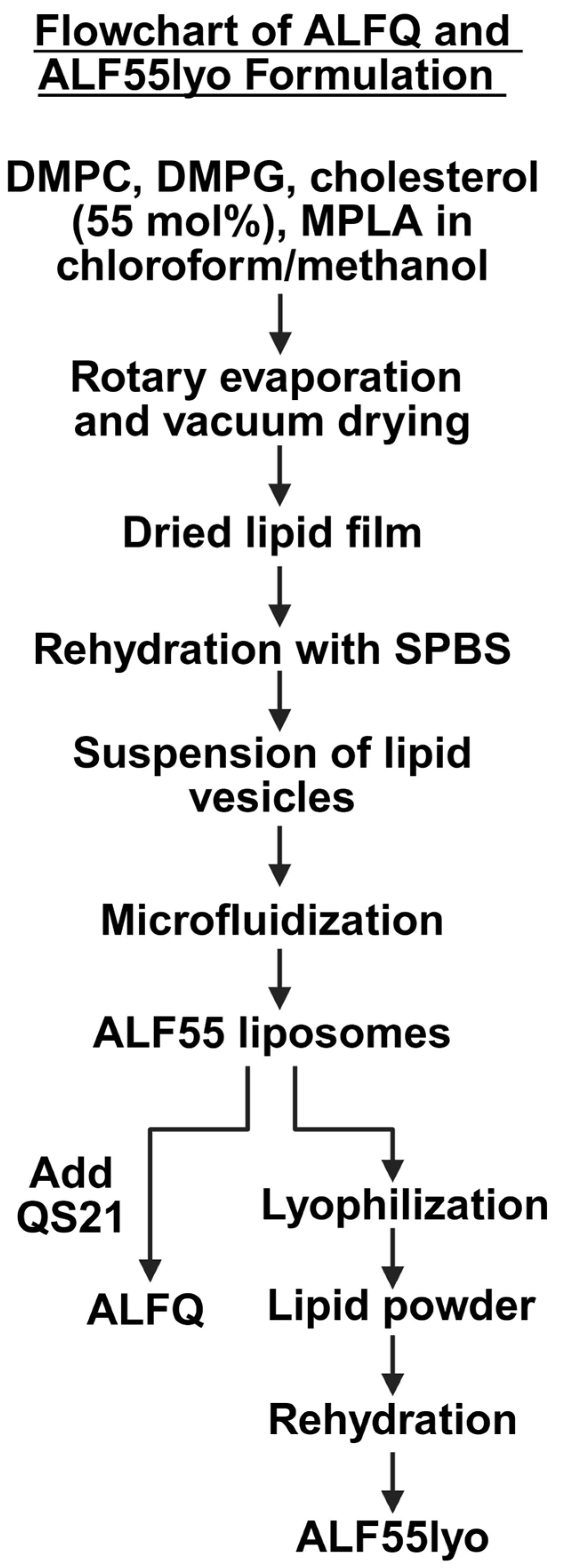 Pharmaceutics 17 01092 g002 Pharmaceutics 17 01092 g002