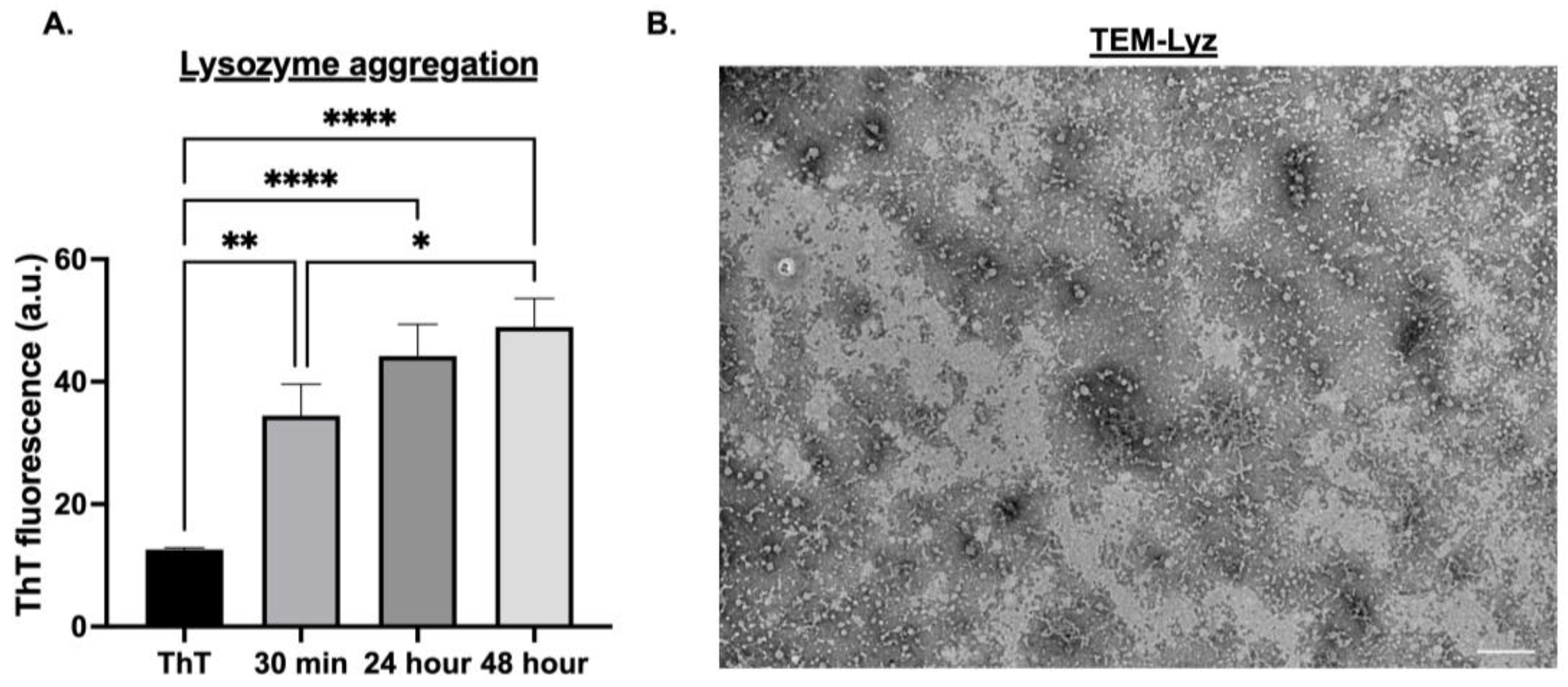 Pharmaceutics 17 01094 g001