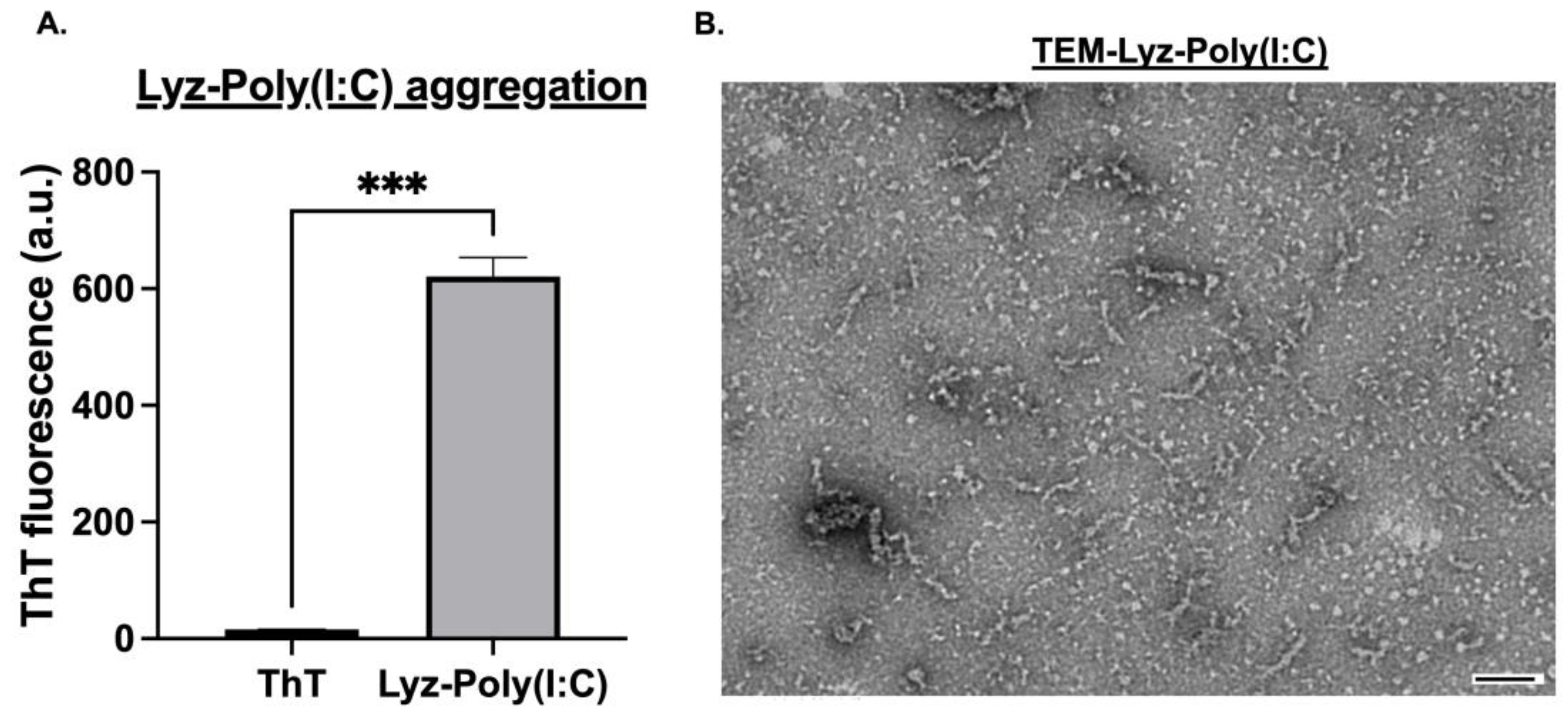 Pharmaceutics 17 01094 g002