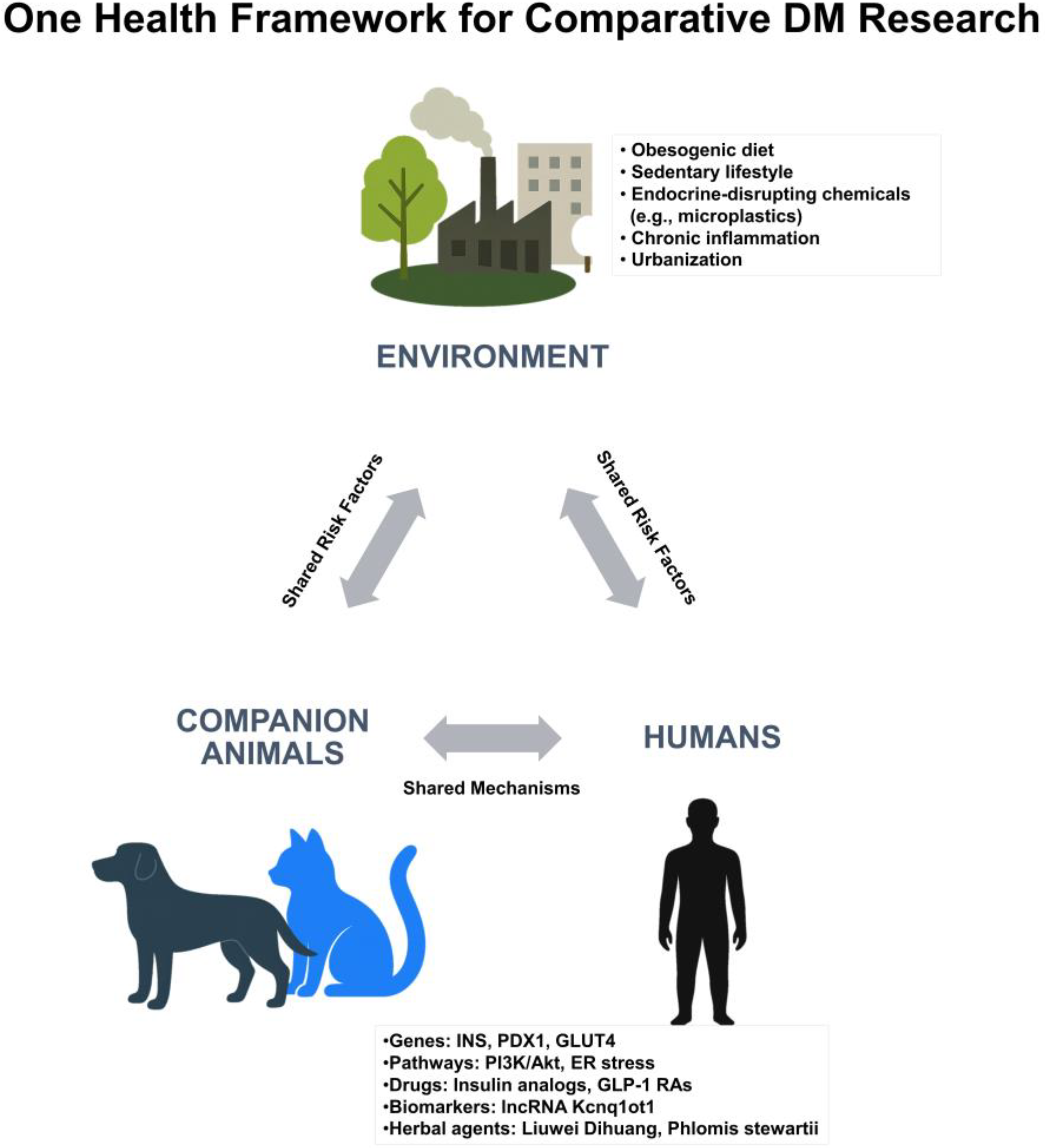 Pharmaceutics 17 01098 g002 Pharmaceutics 17 01098 g002