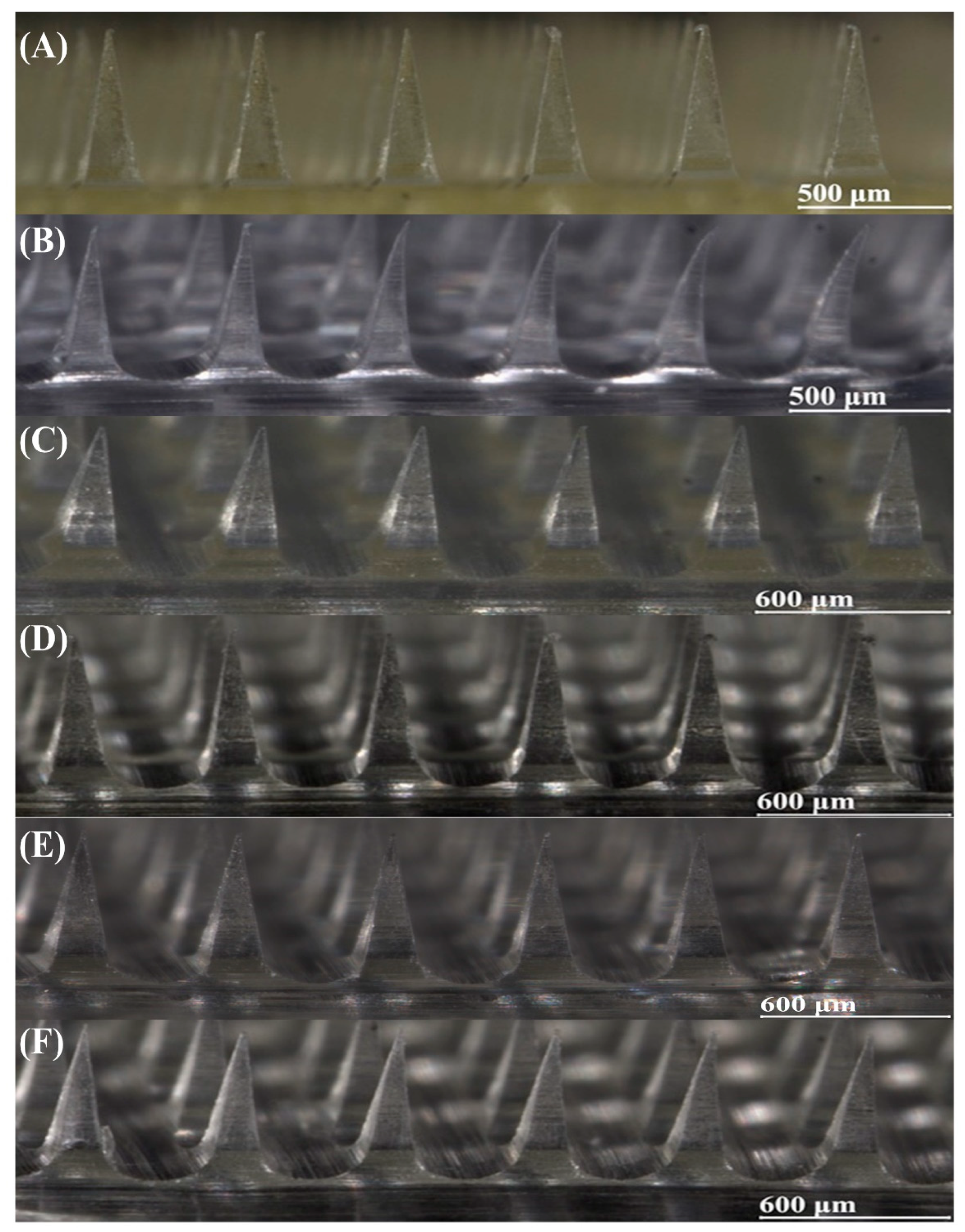 Pharmaceutics 17 01100 g004