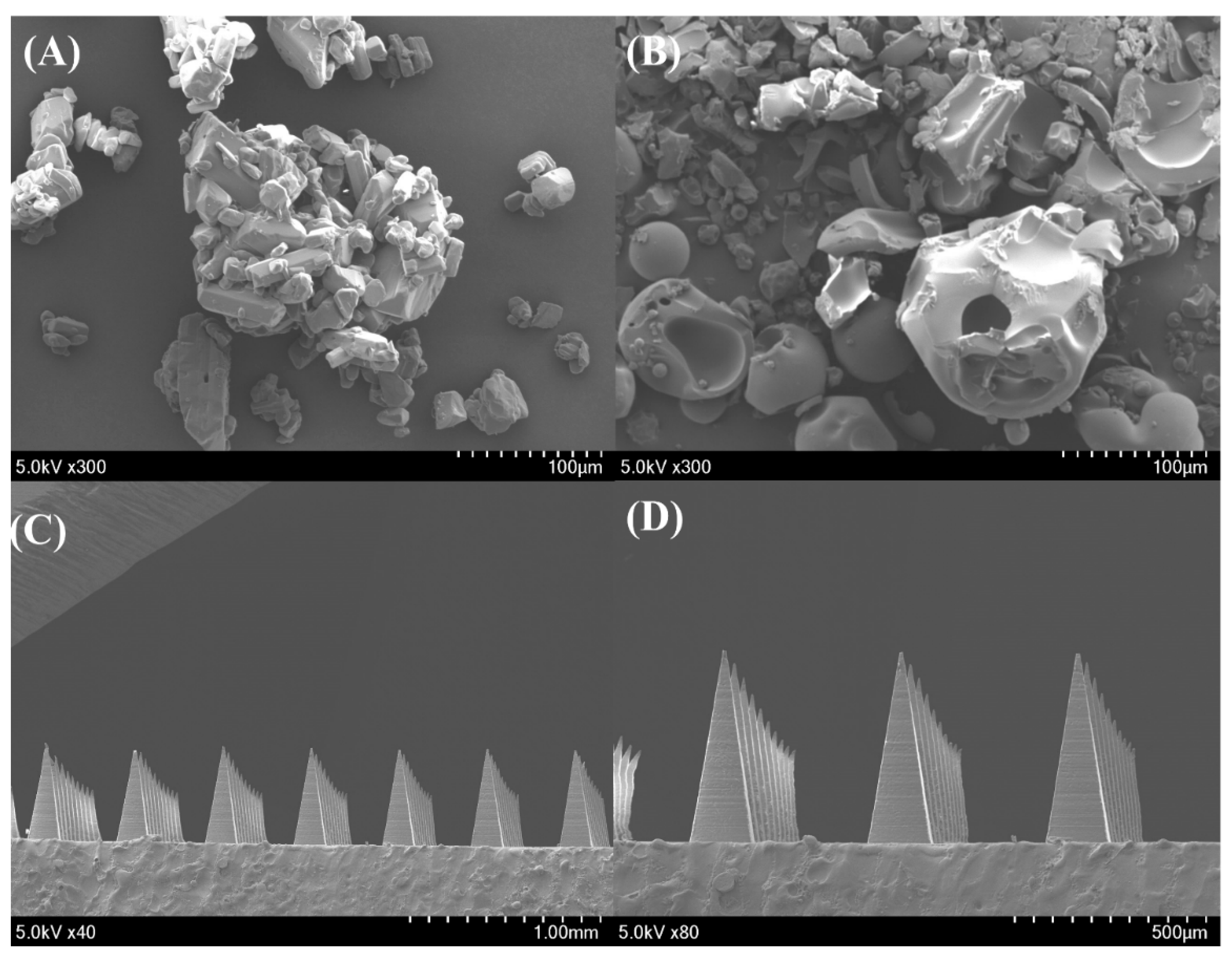 Pharmaceutics 17 01100 g005