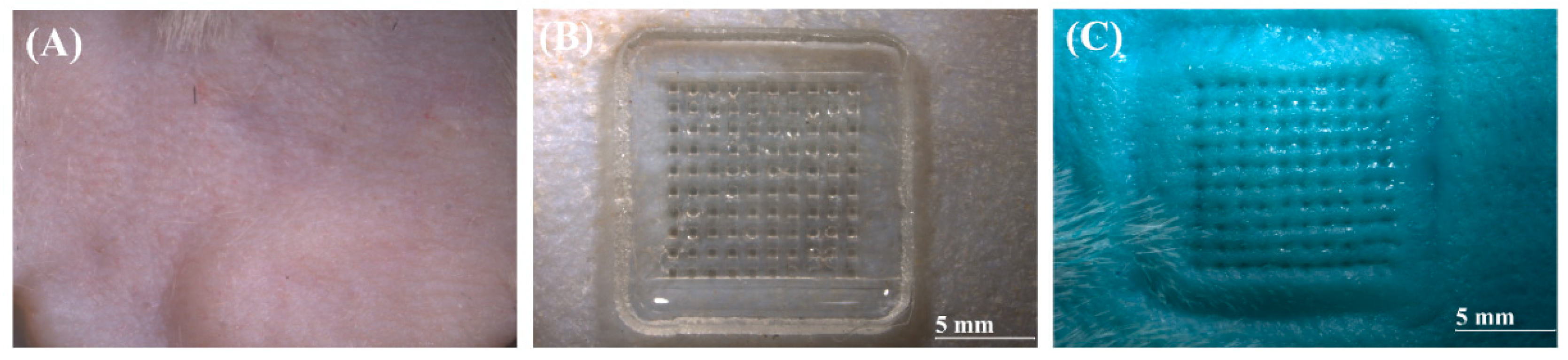 Pharmaceutics 17 01100 g008