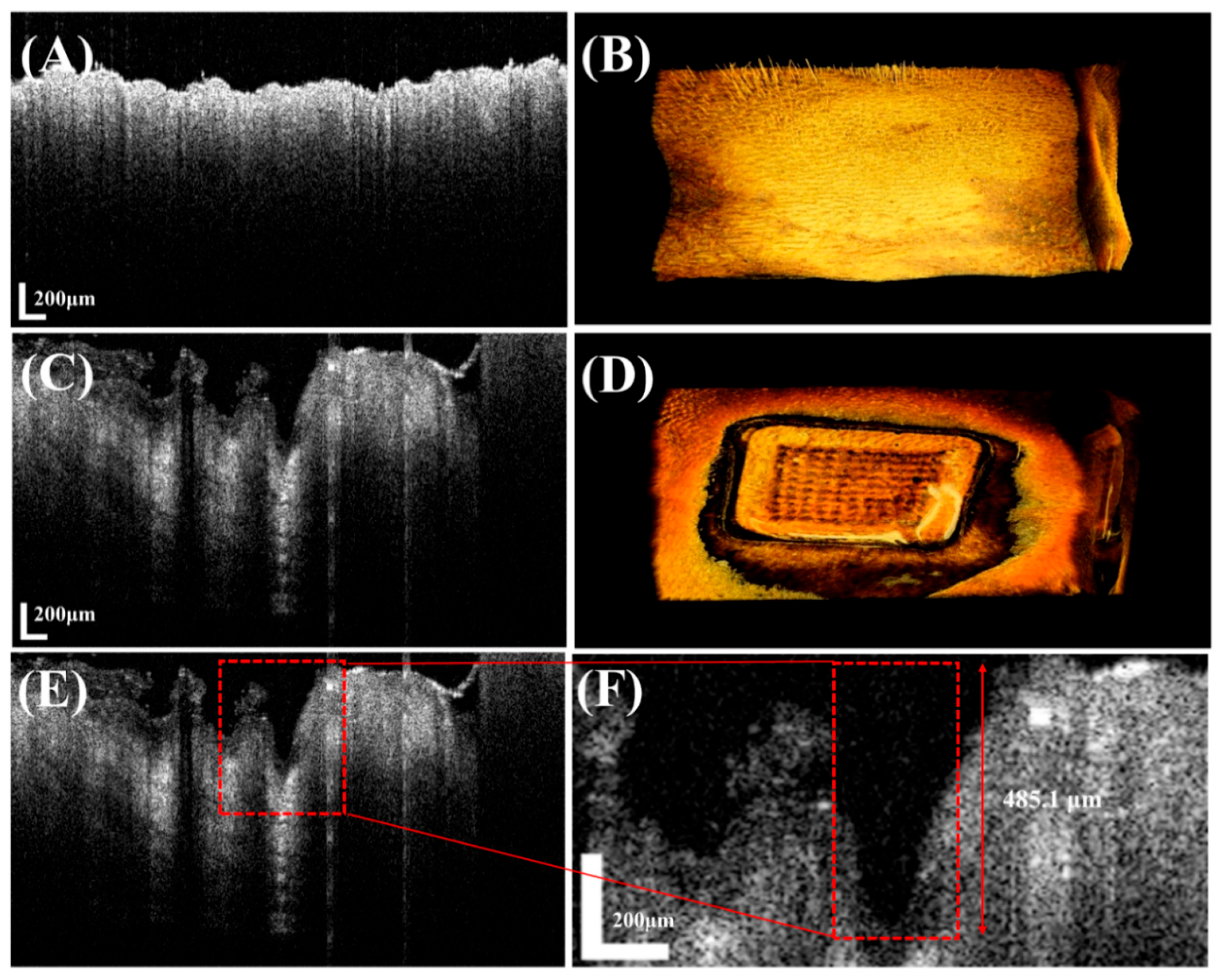 Pharmaceutics 17 01100 g009