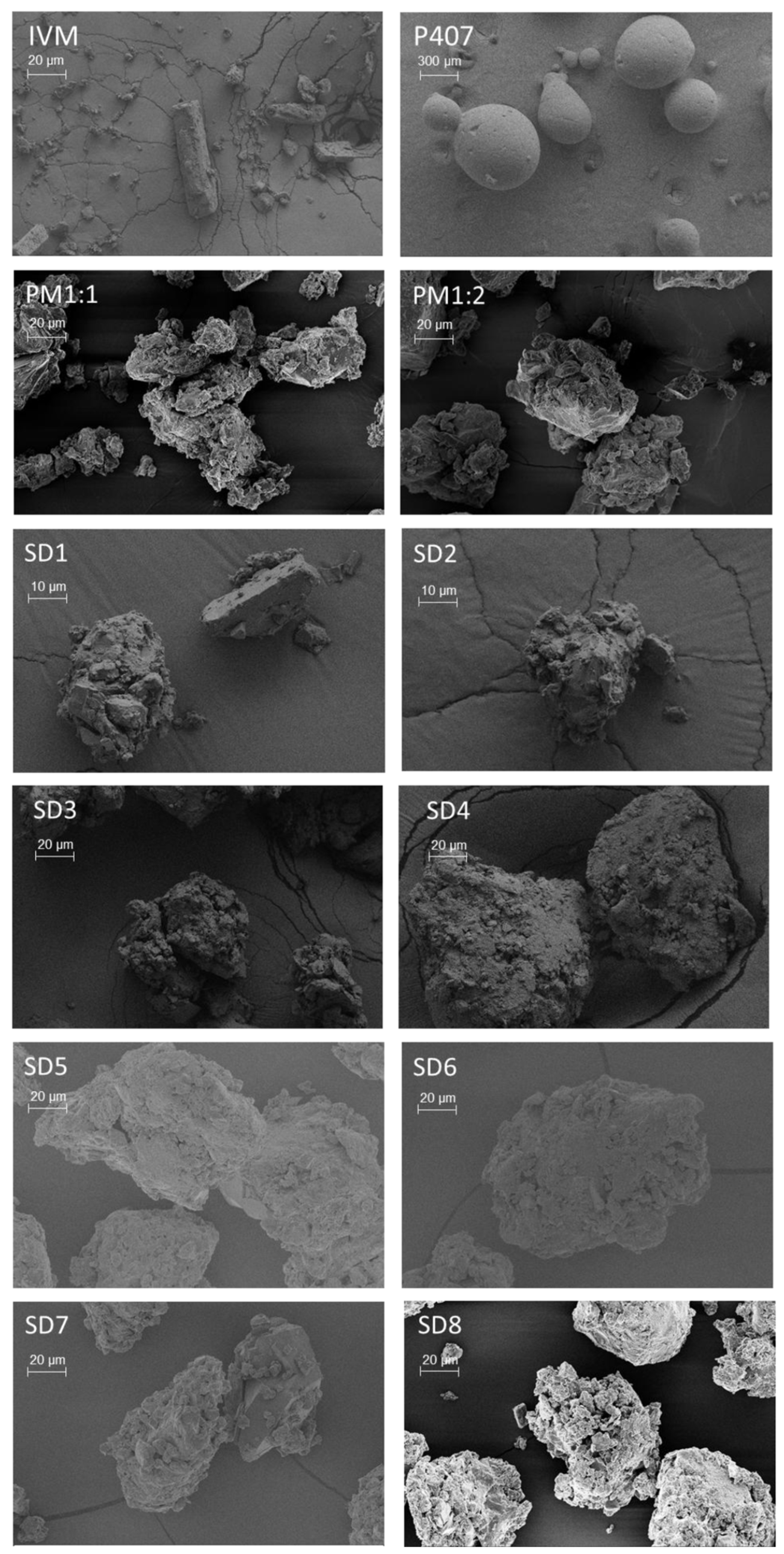 Pharmaceutics 17 01101 g004