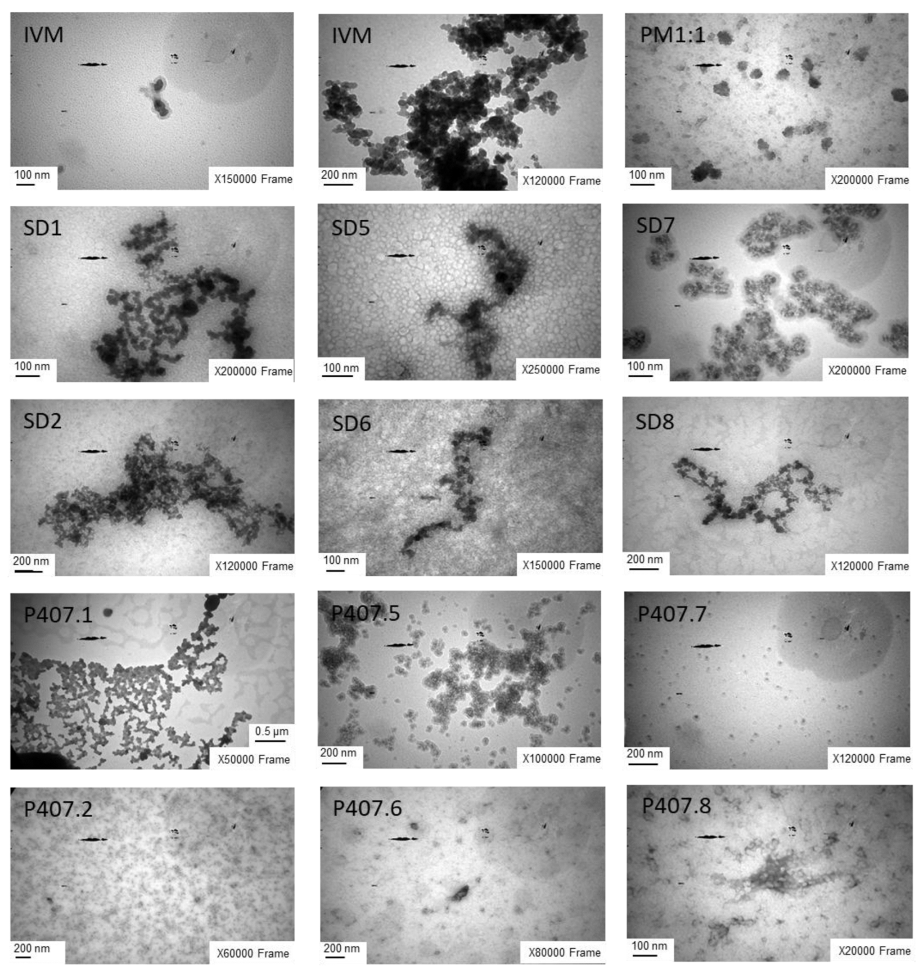 Pharmaceutics 17 01101 g007
