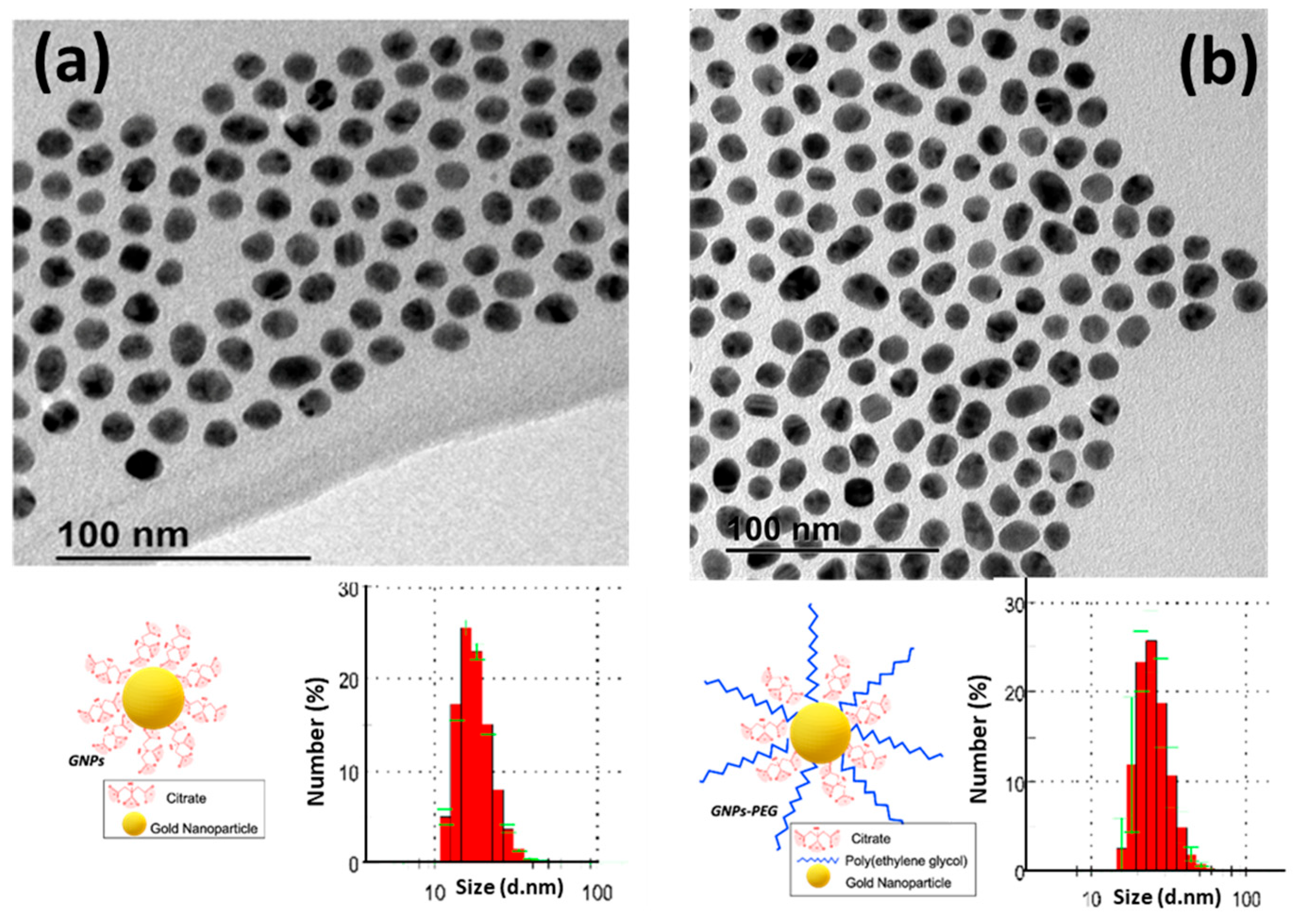 Pharmaceutics 17 01103 g003
