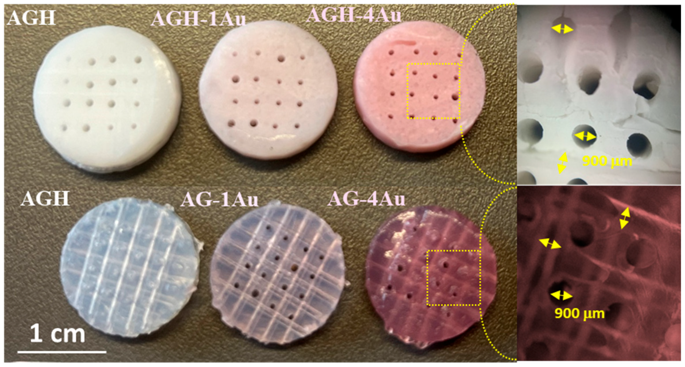 Pharmaceutics 17 01103 g005