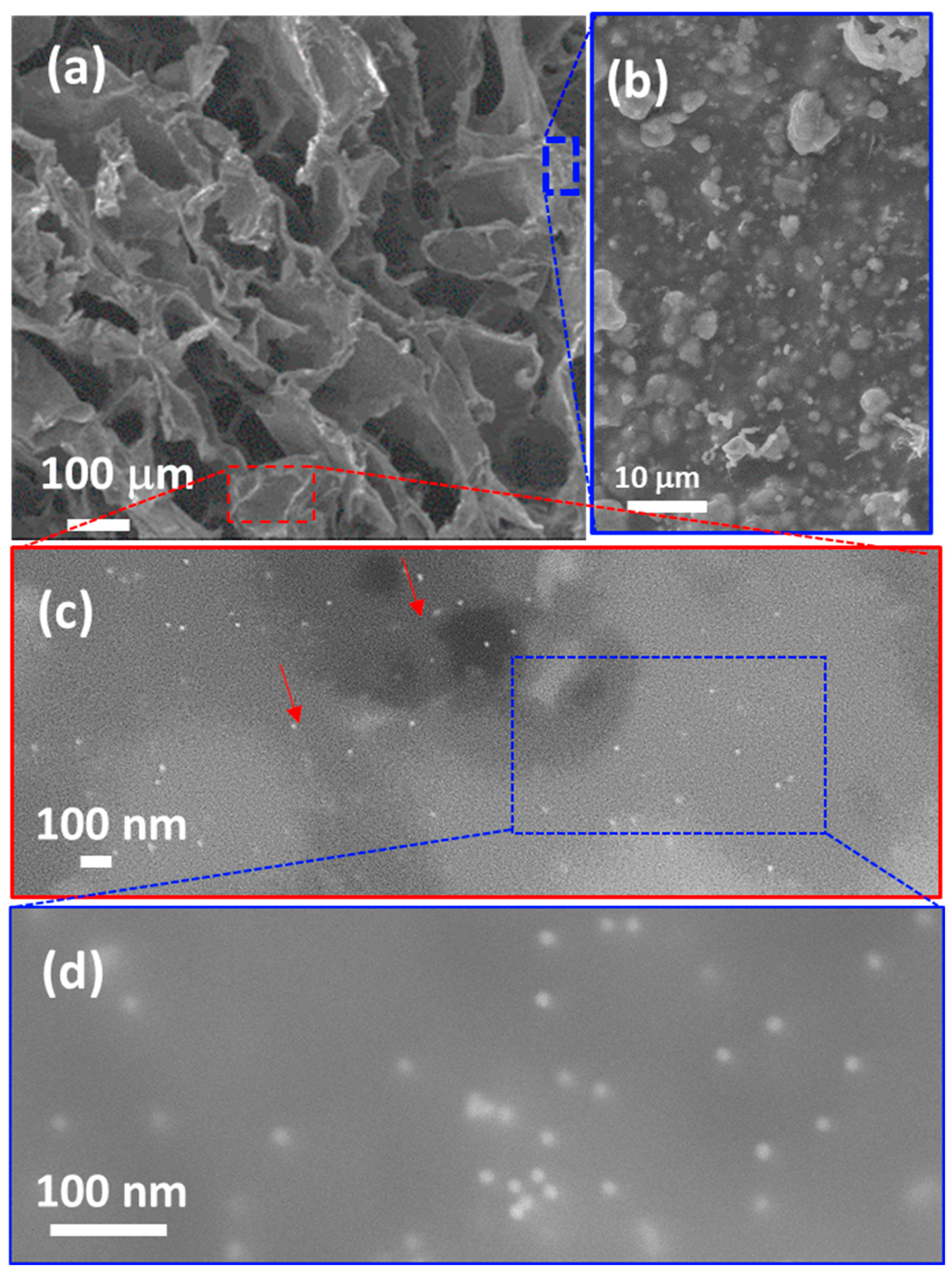 Pharmaceutics 17 01103 g006