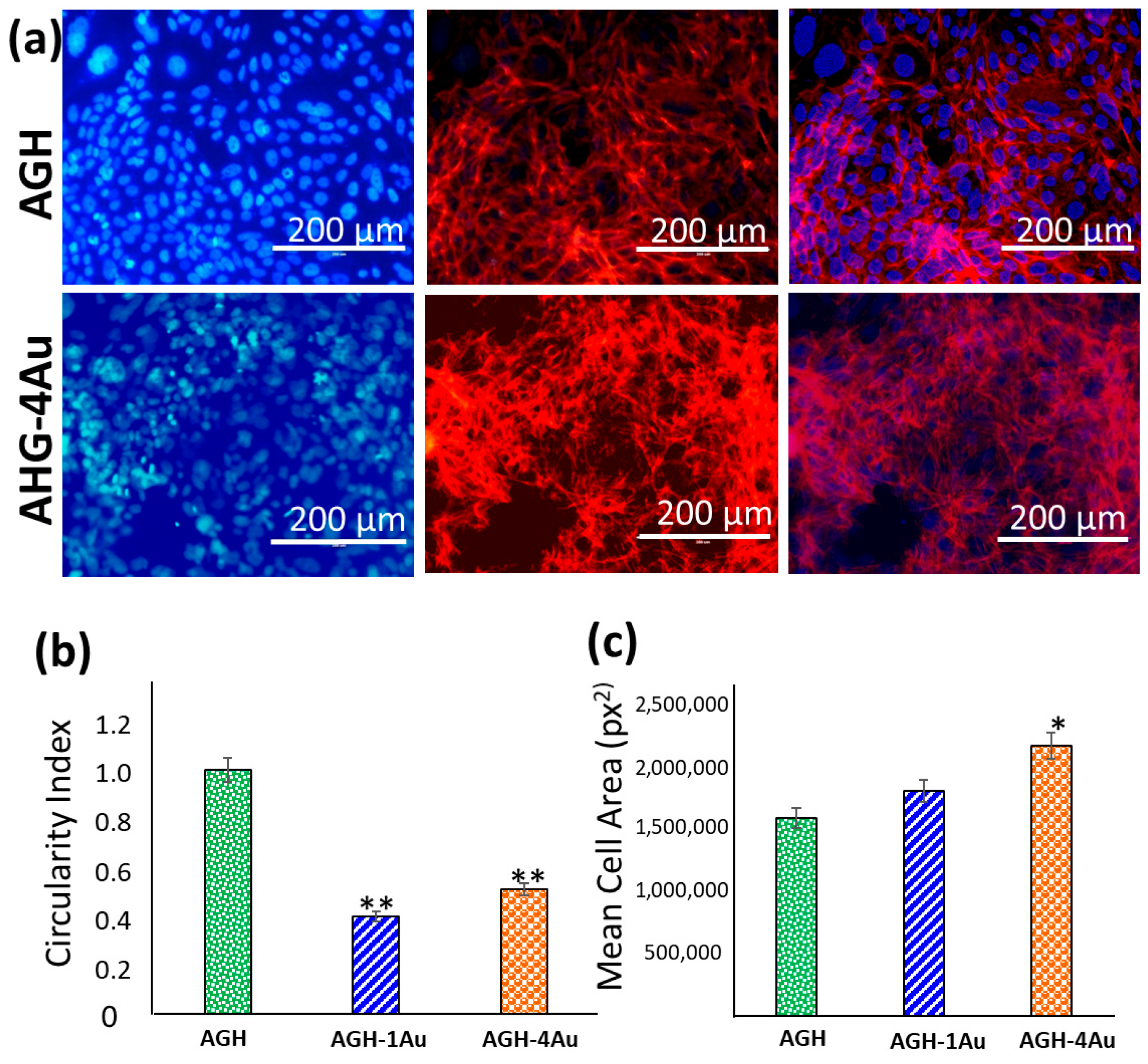 Pharmaceutics 17 01103 g008
