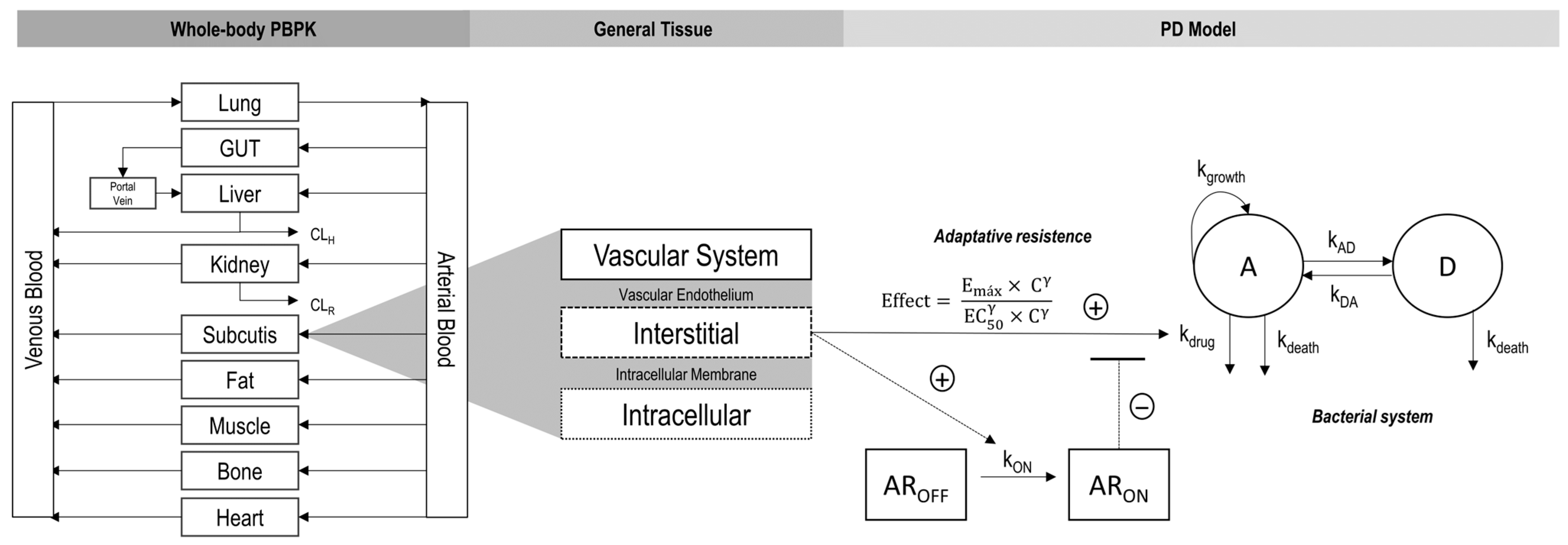 Pharmaceutics 17 01111 g001