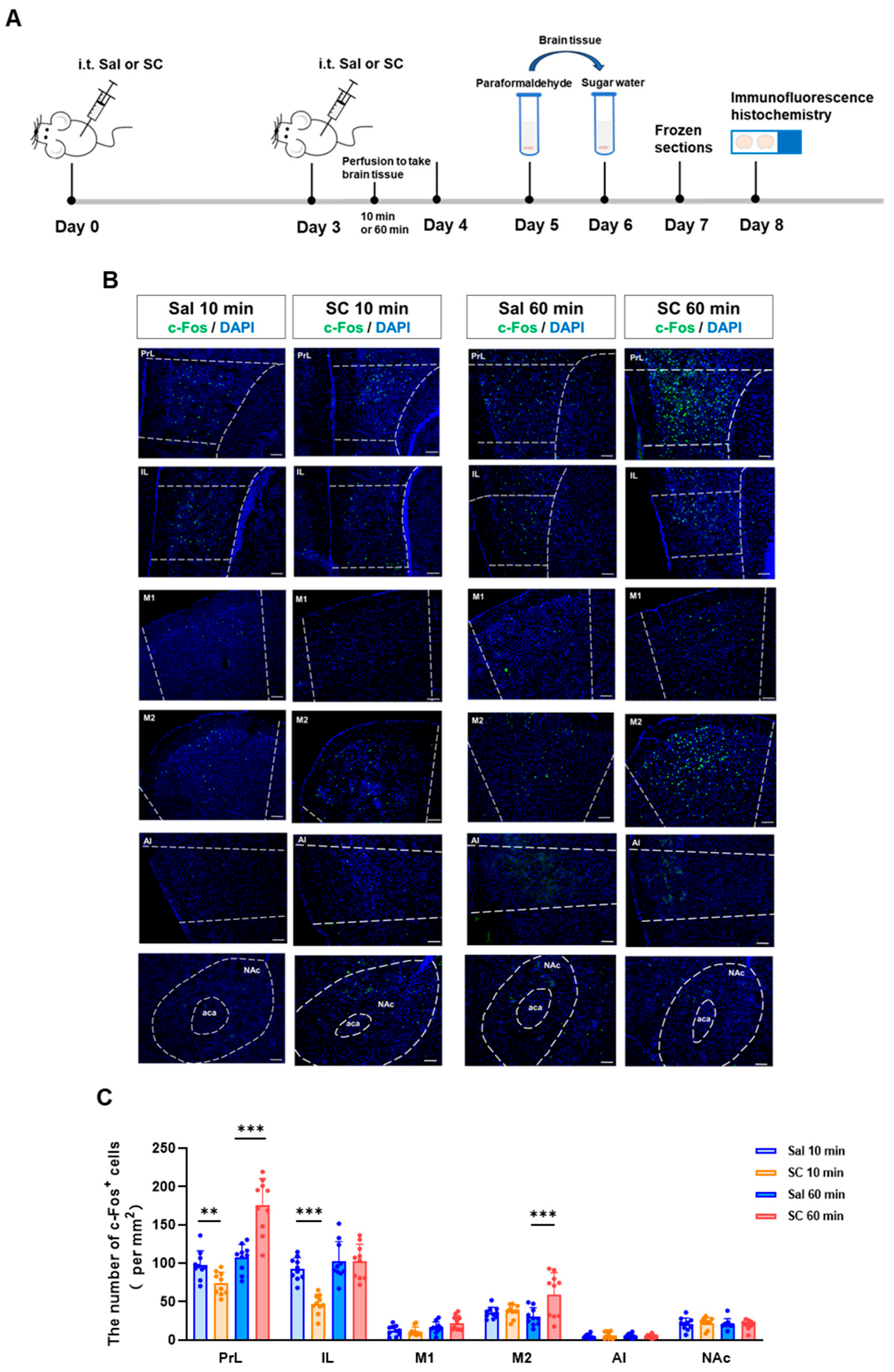Pharmaceutics 17 01112 g002 Pharmaceutics 17 01112 g002