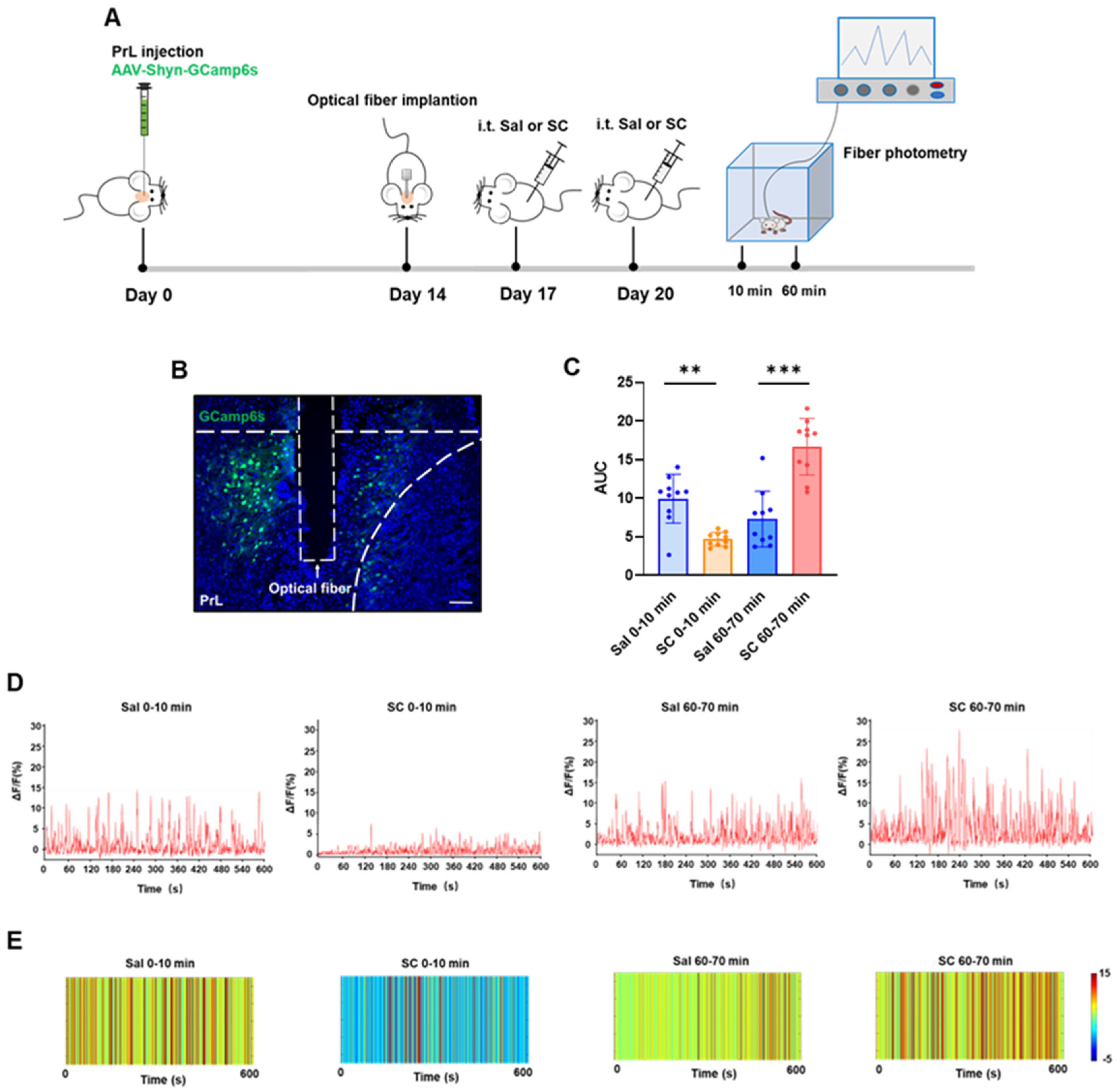 Pharmaceutics 17 01112 g003 Pharmaceutics 17 01112 g003