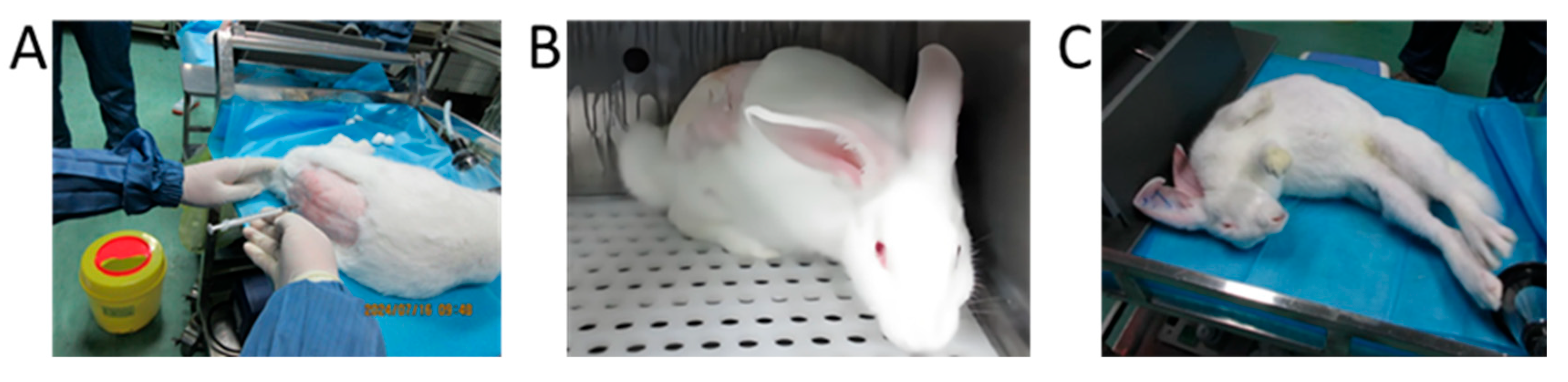 Pharmaceutics 17 01112 g004 Pharmaceutics 17 01112 g004