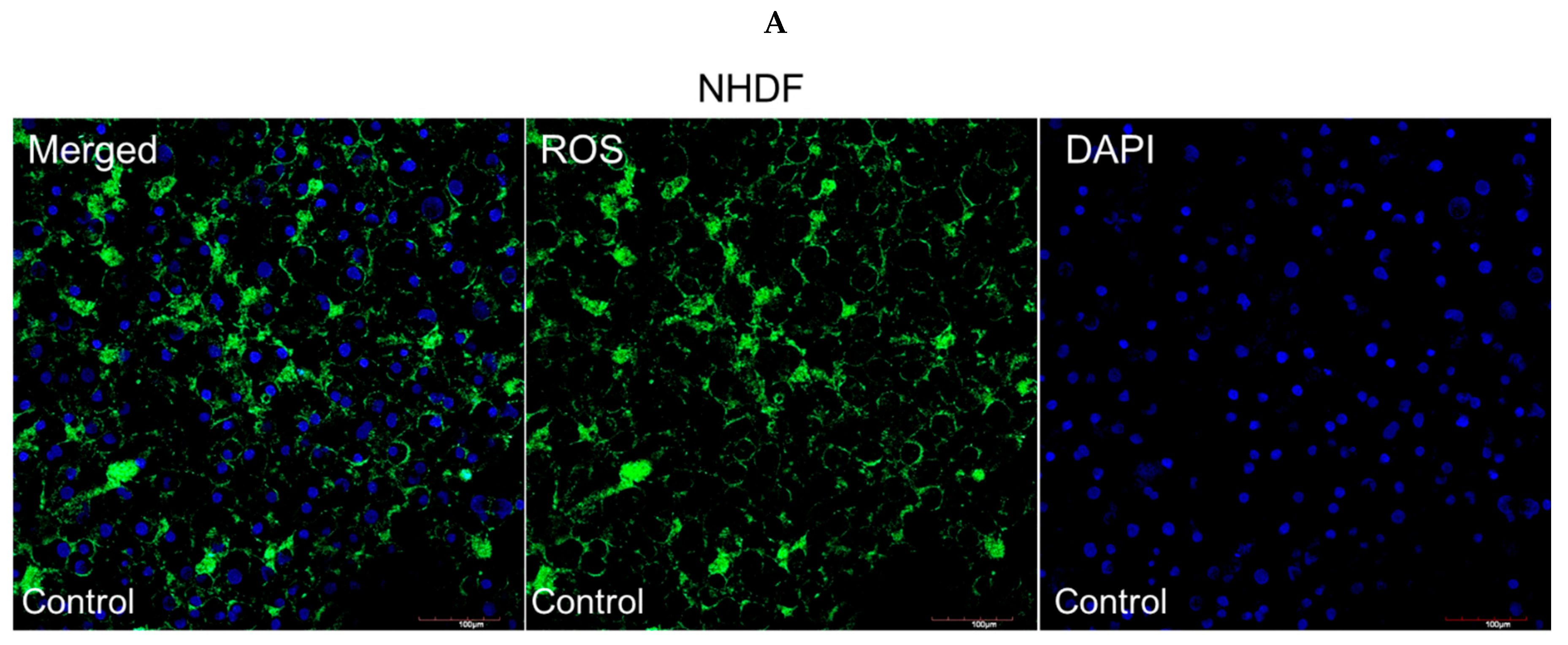 Pharmaceutics 17 01115 g004a Pharmaceutics 17 01115 g004a