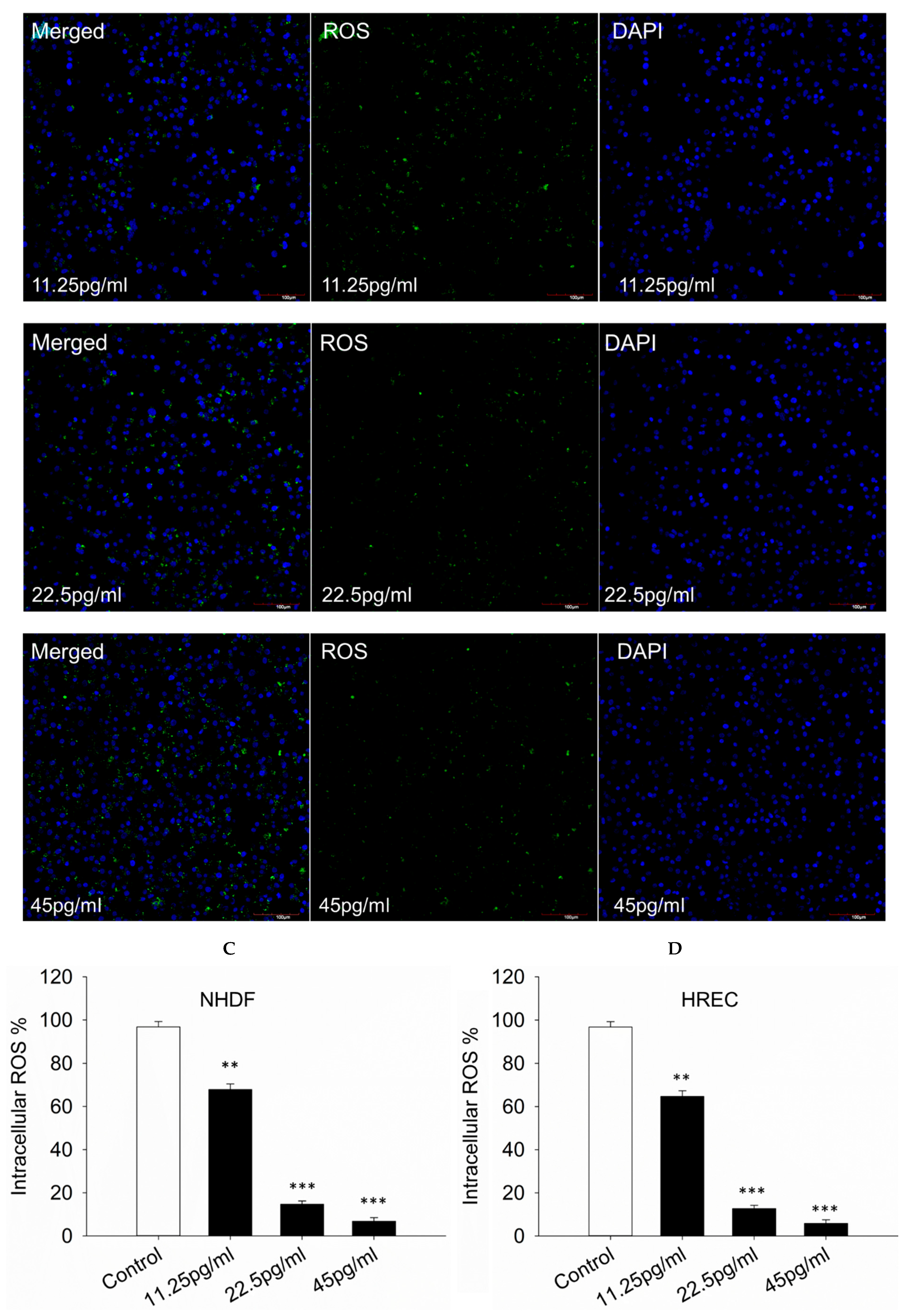 Pharmaceutics 17 01115 g004c Pharmaceutics 17 01115 g004c