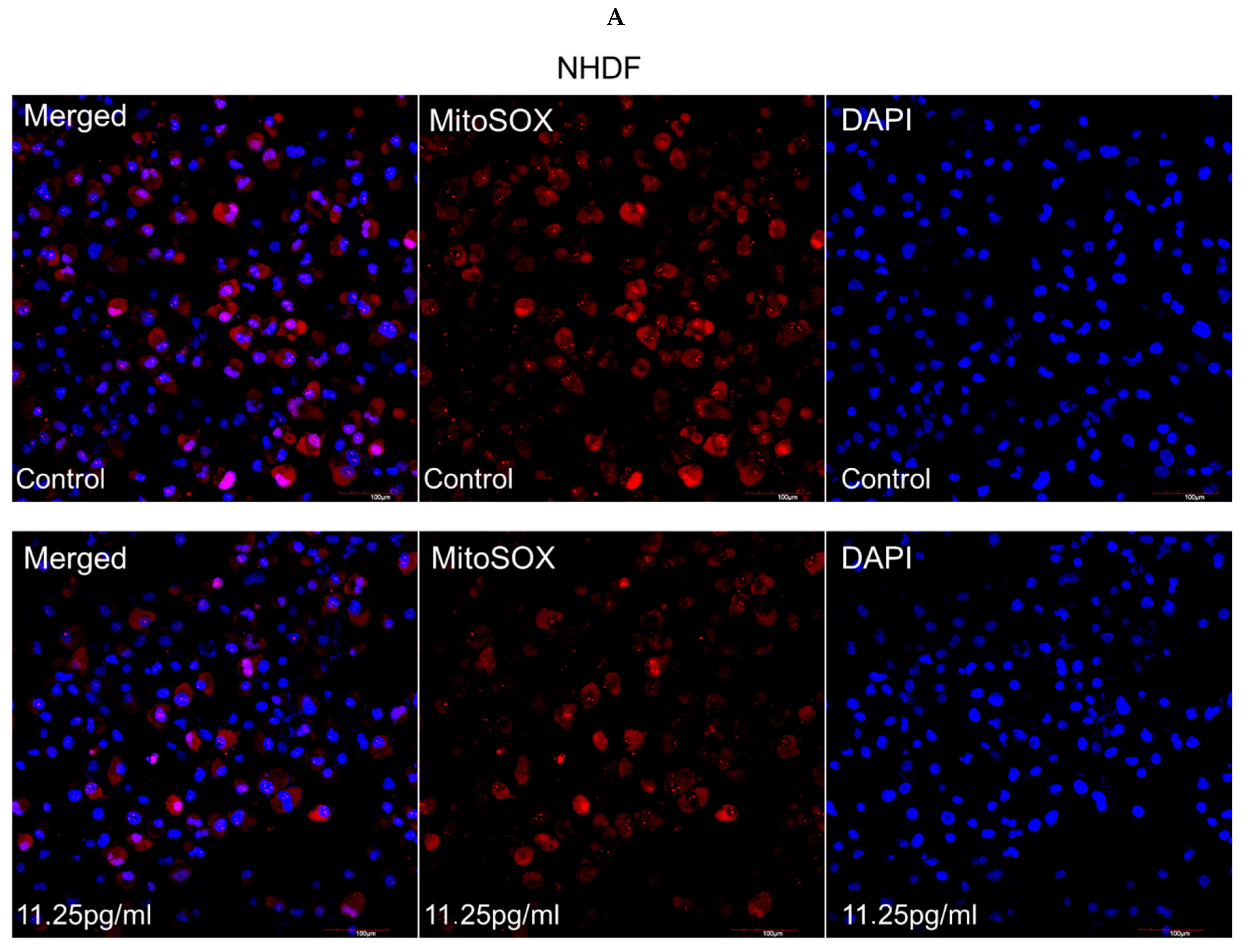 Pharmaceutics 17 01115 g005a Pharmaceutics 17 01115 g005a