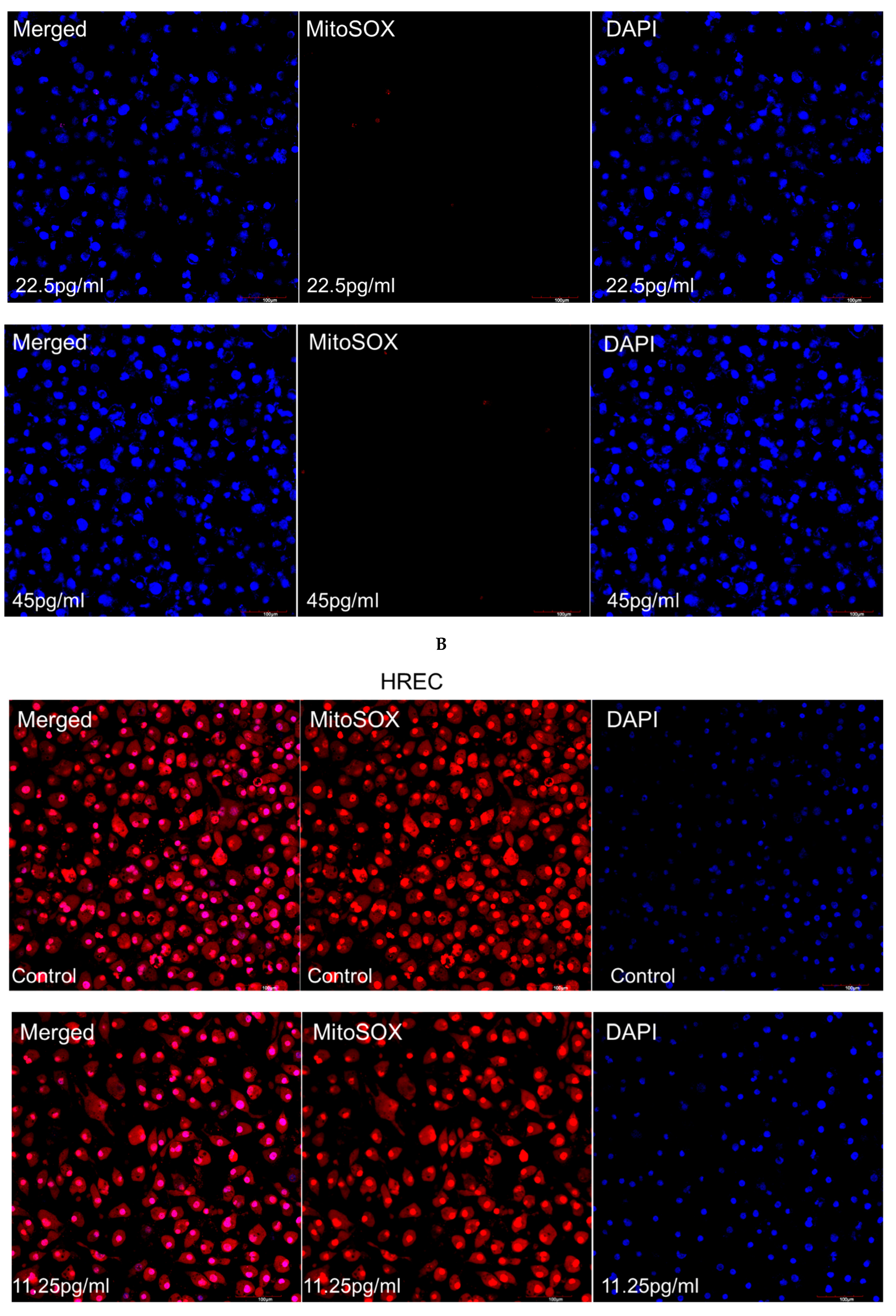 Pharmaceutics 17 01115 g005b Pharmaceutics 17 01115 g005b