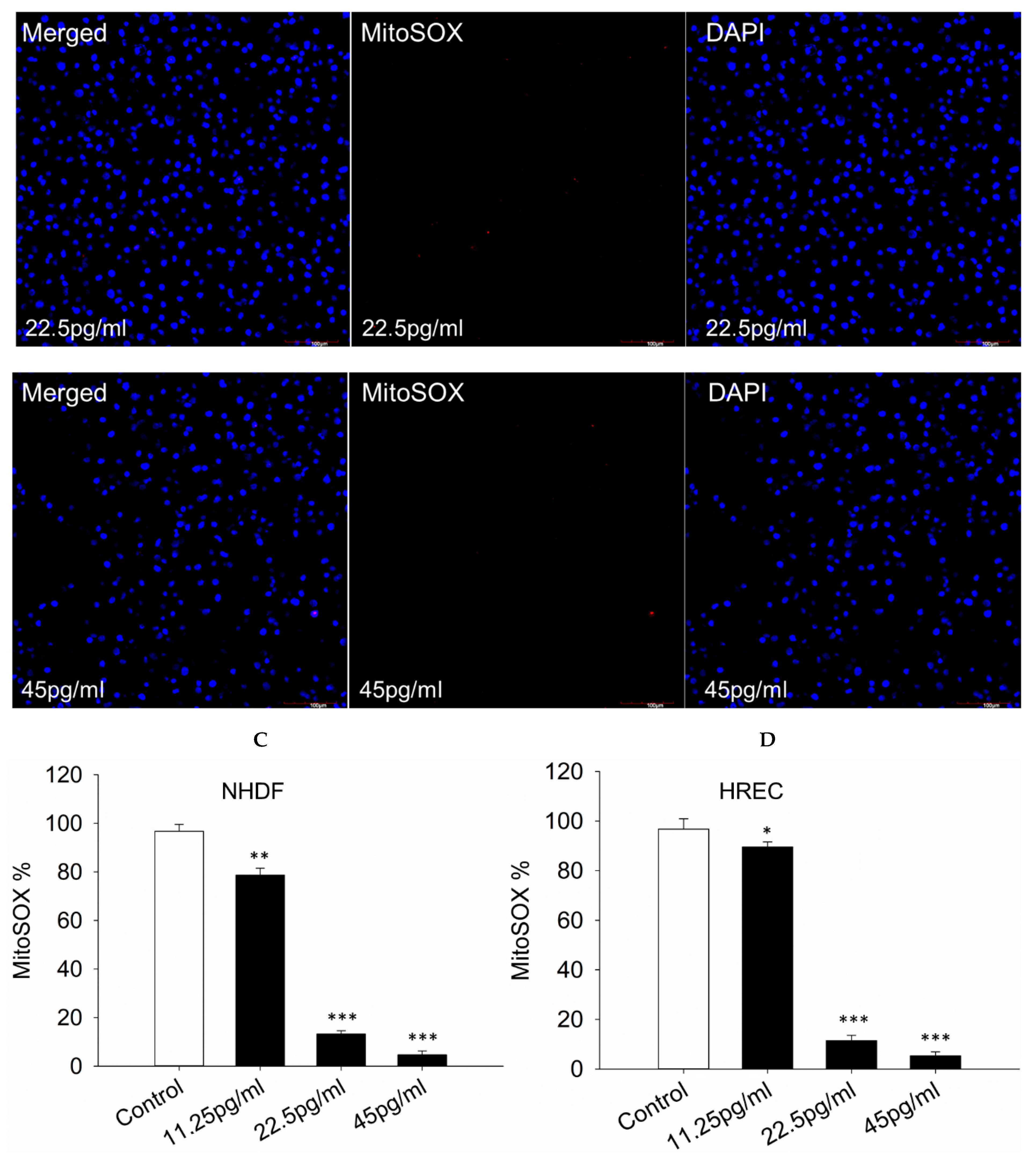 Pharmaceutics 17 01115 g005c Pharmaceutics 17 01115 g005c