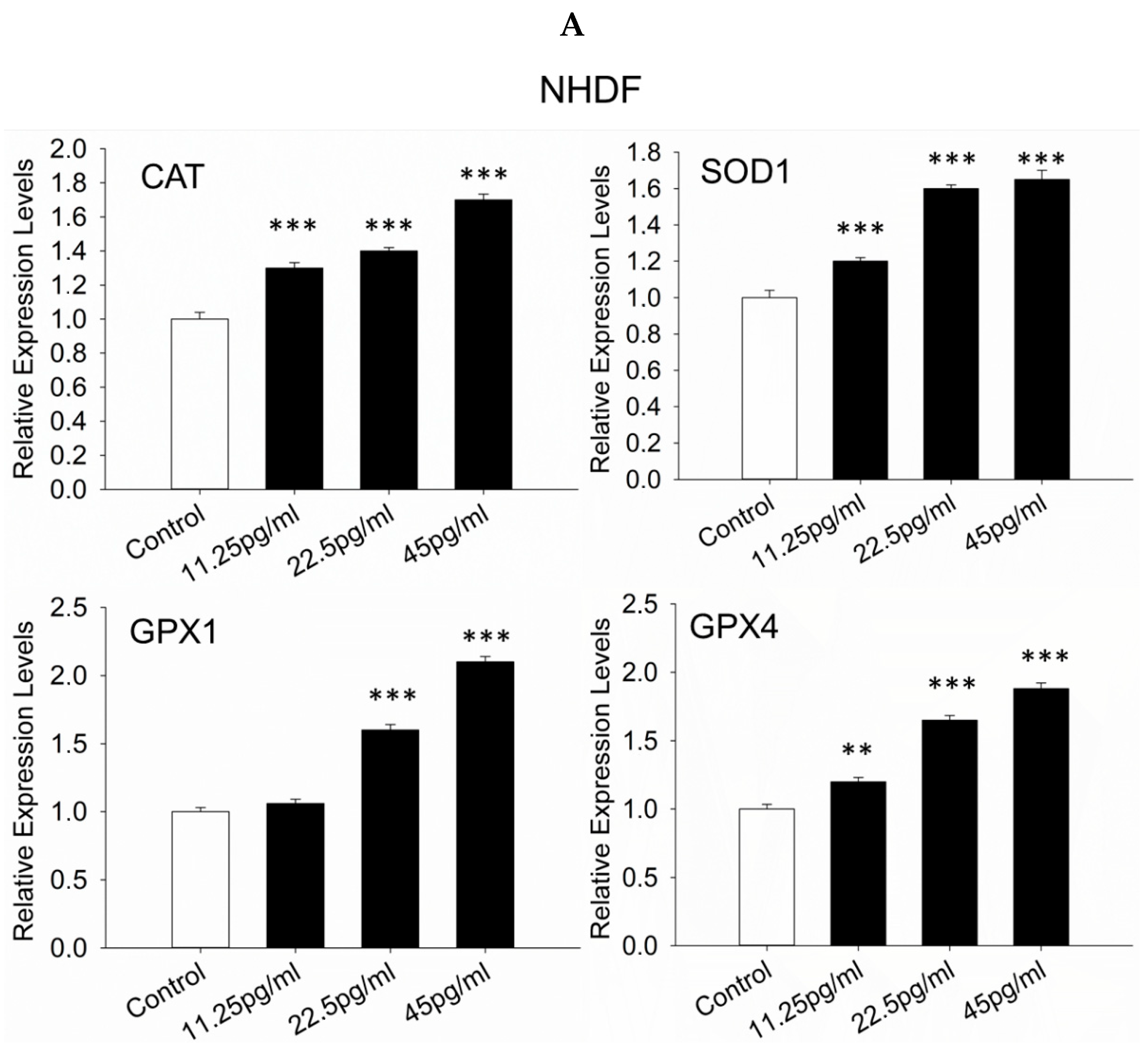 Pharmaceutics 17 01115 g008a Pharmaceutics 17 01115 g008a