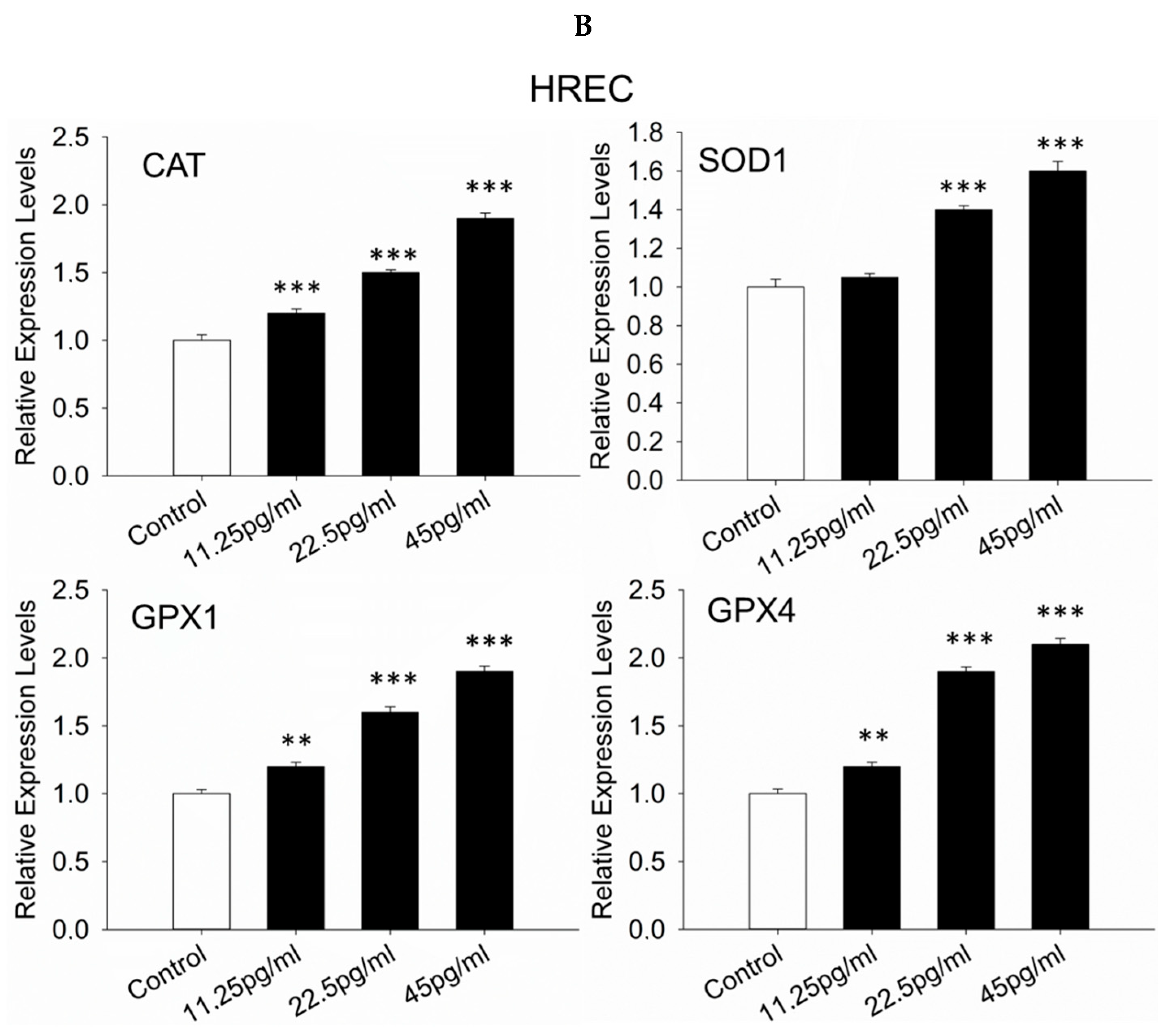 Pharmaceutics 17 01115 g008b Pharmaceutics 17 01115 g008b