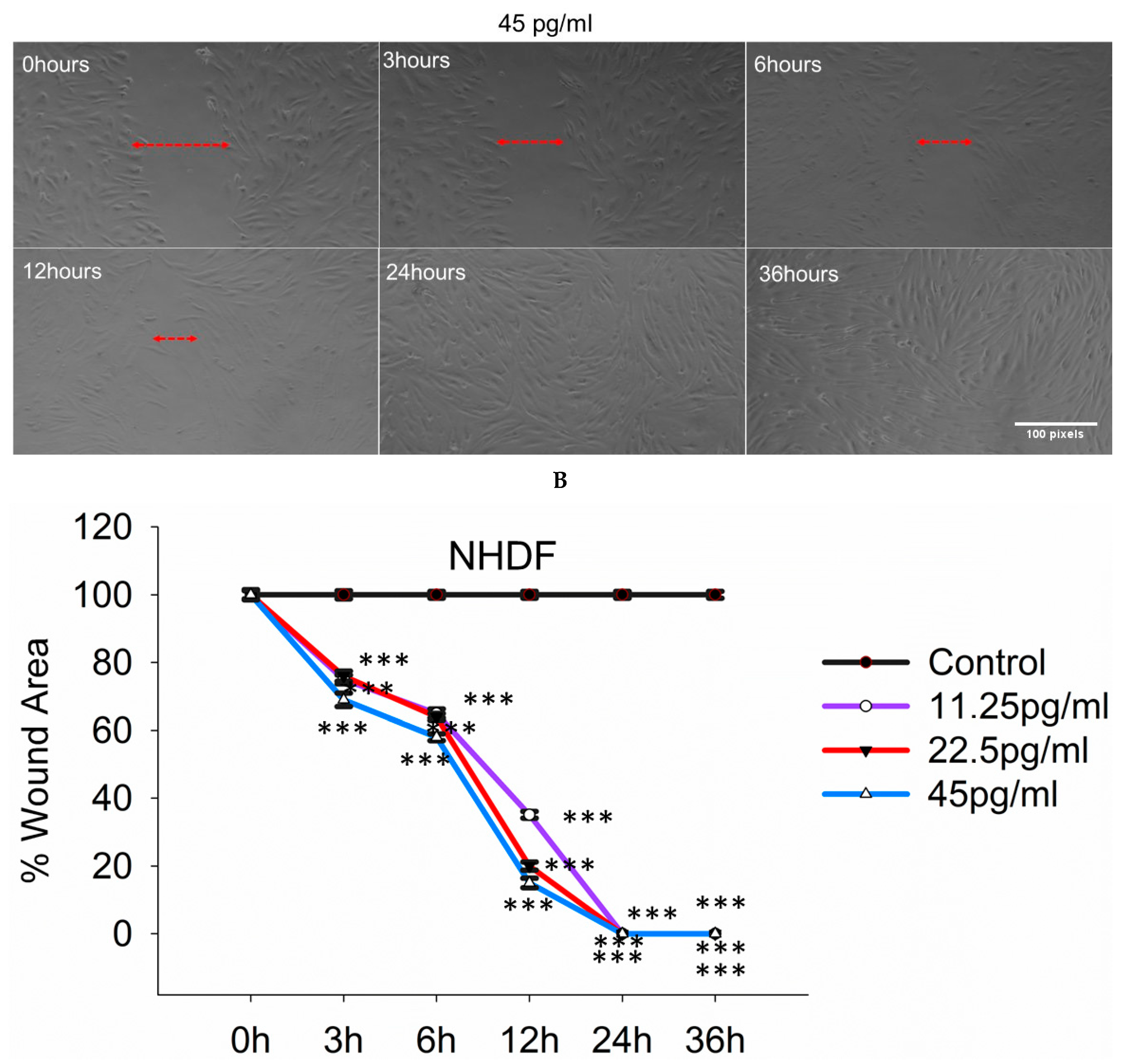 Pharmaceutics 17 01115 g009b Pharmaceutics 17 01115 g009b