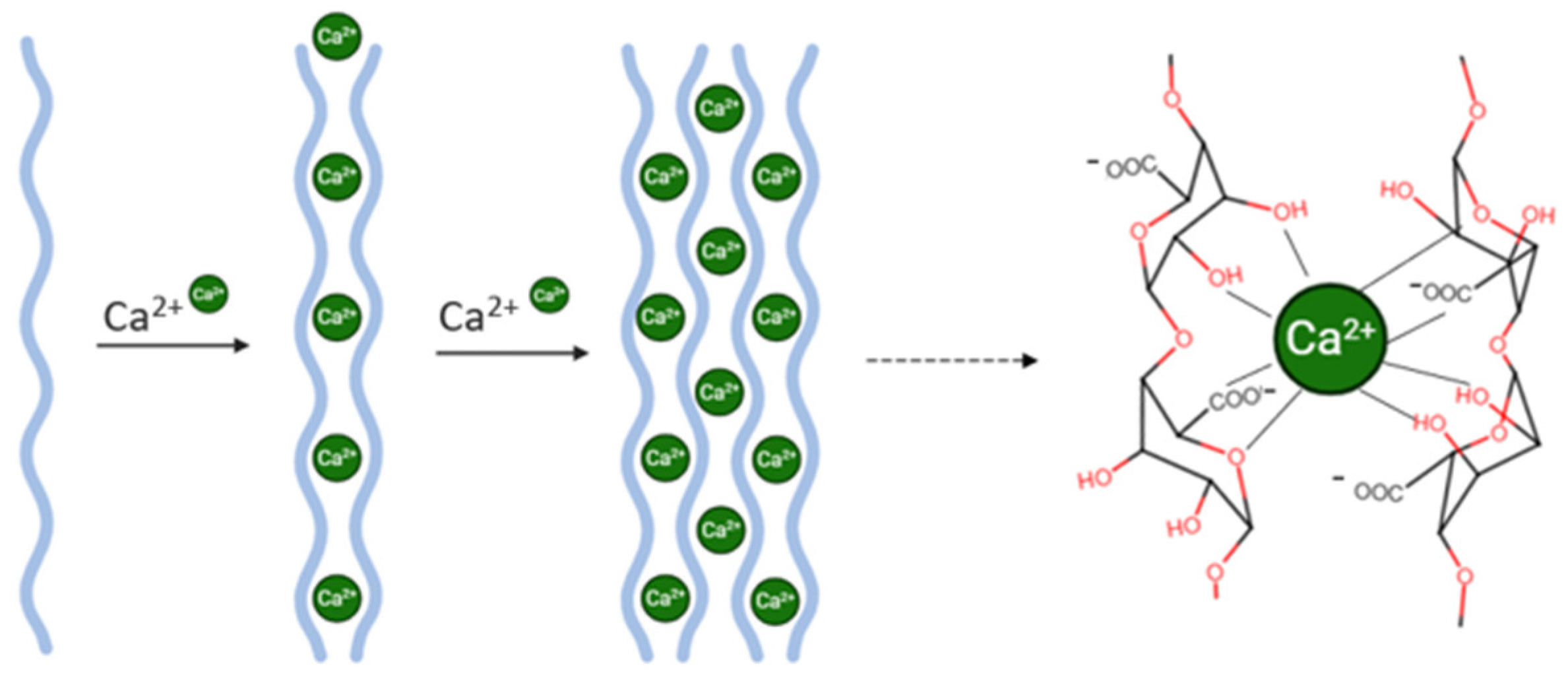 Pharmaceutics 17 01117 g003