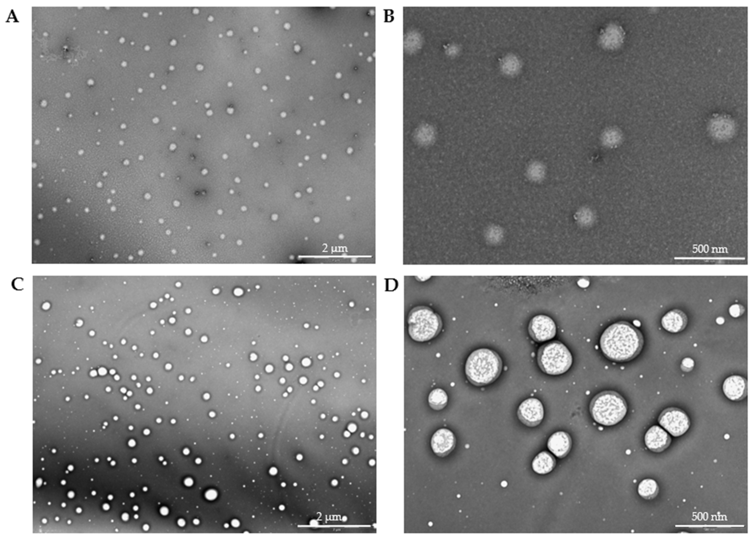 Pharmaceutics 17 01117 g012