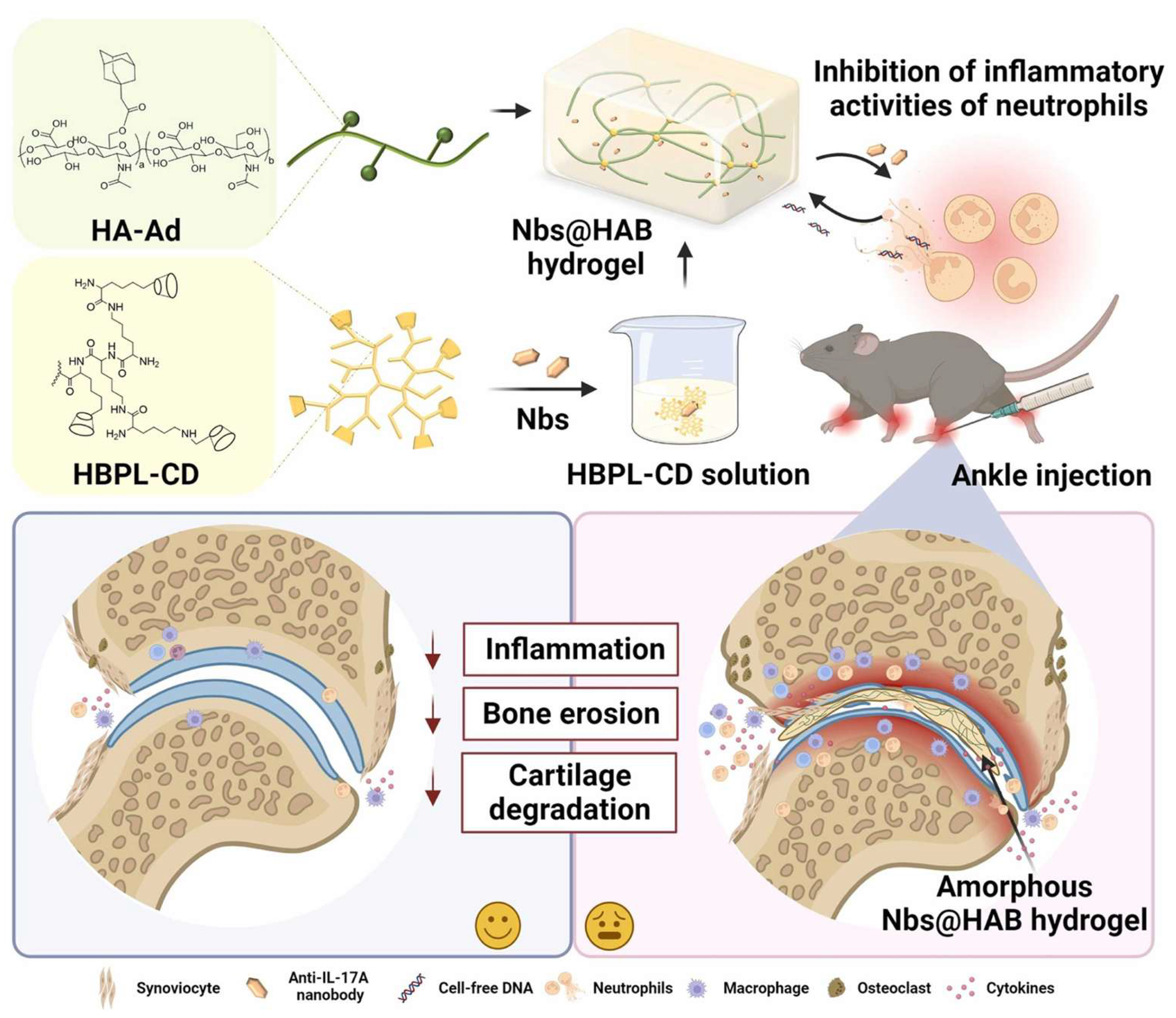 Pharmaceutics 17 01118 g003
