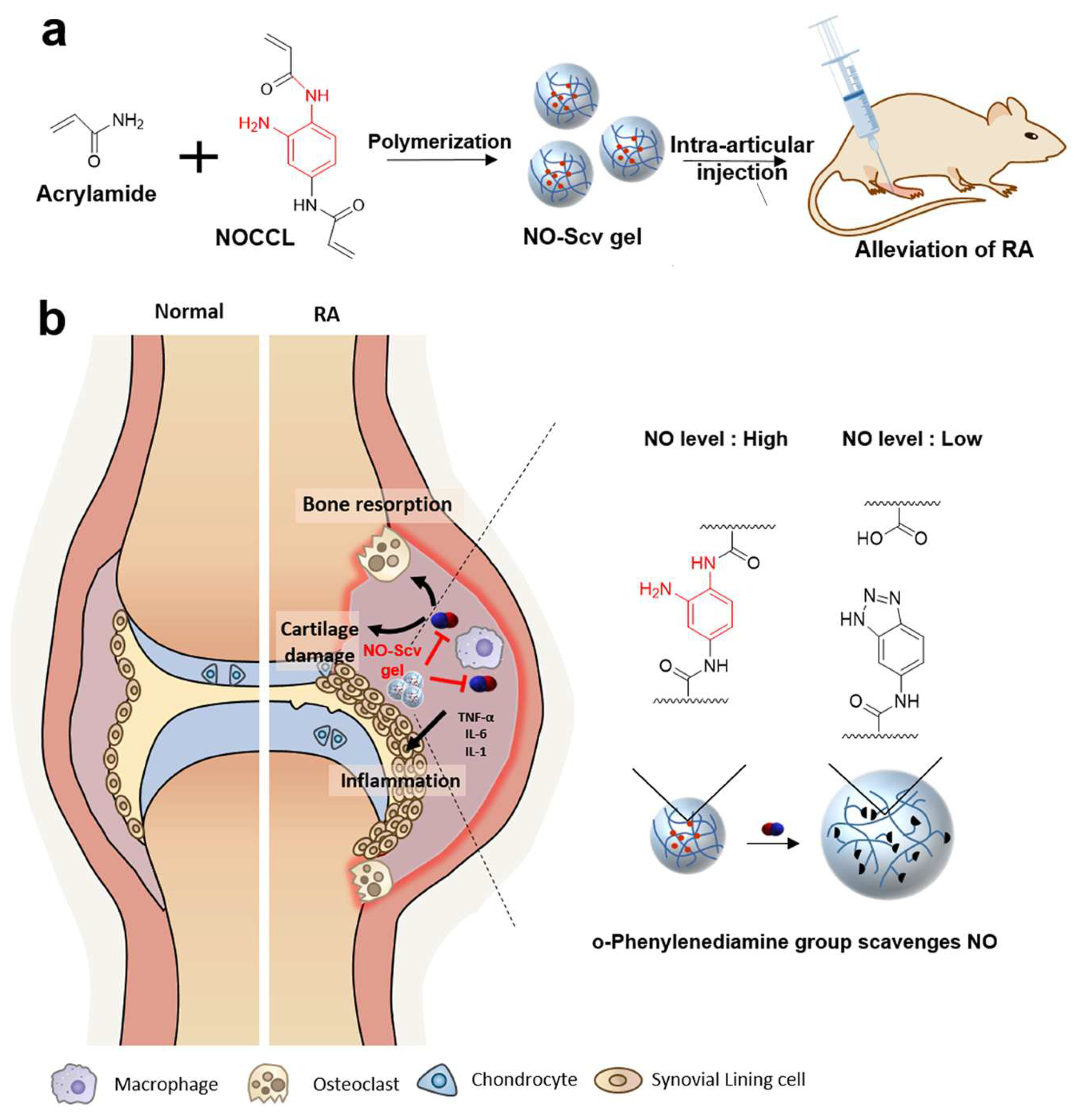 Pharmaceutics 17 01118 g004