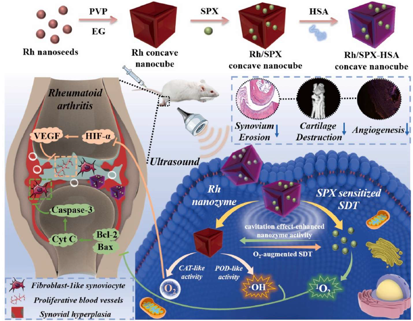 Pharmaceutics 17 01118 g008