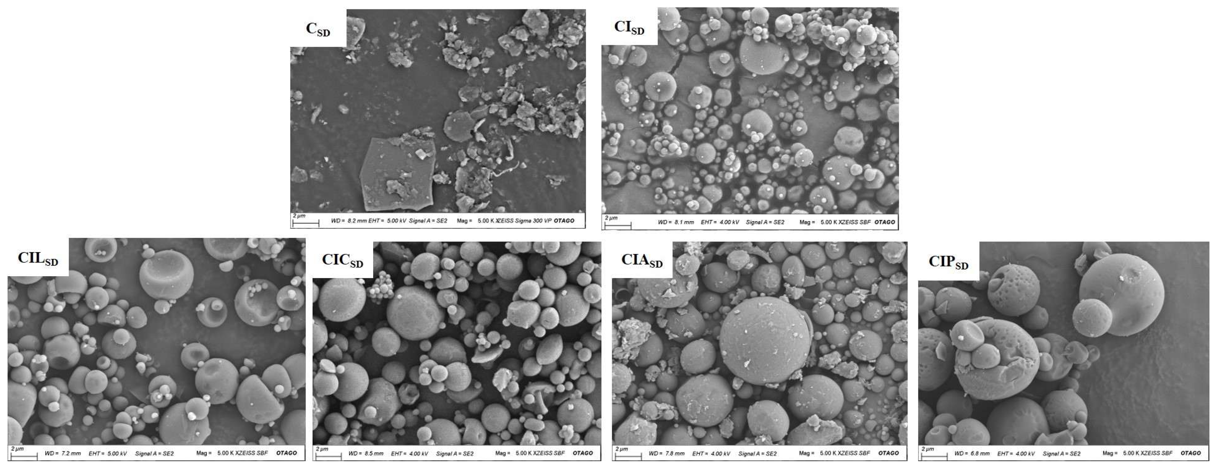 Pharmaceutics 17 01120 g001