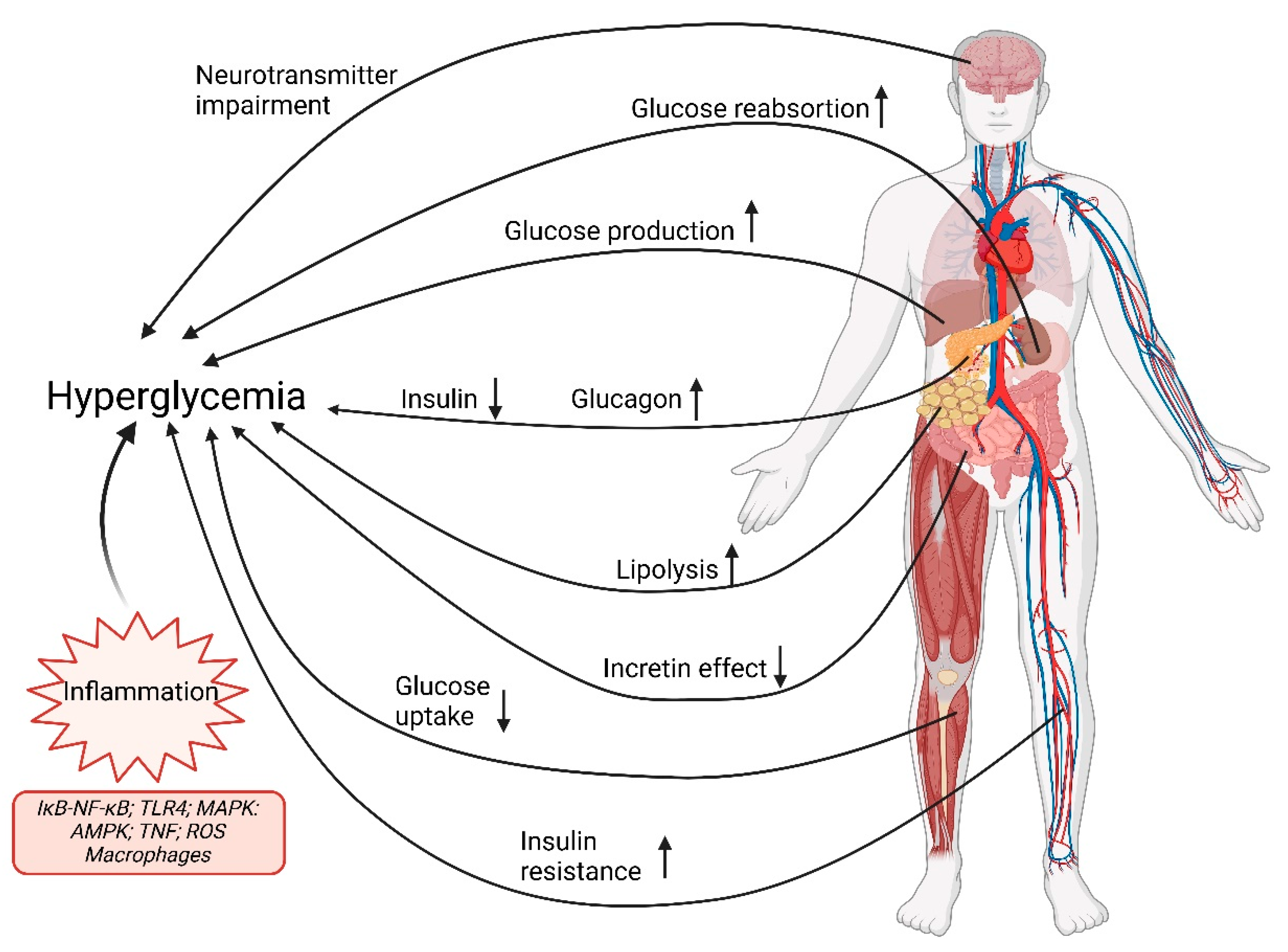 Pharmaceutics 17 01125 g001