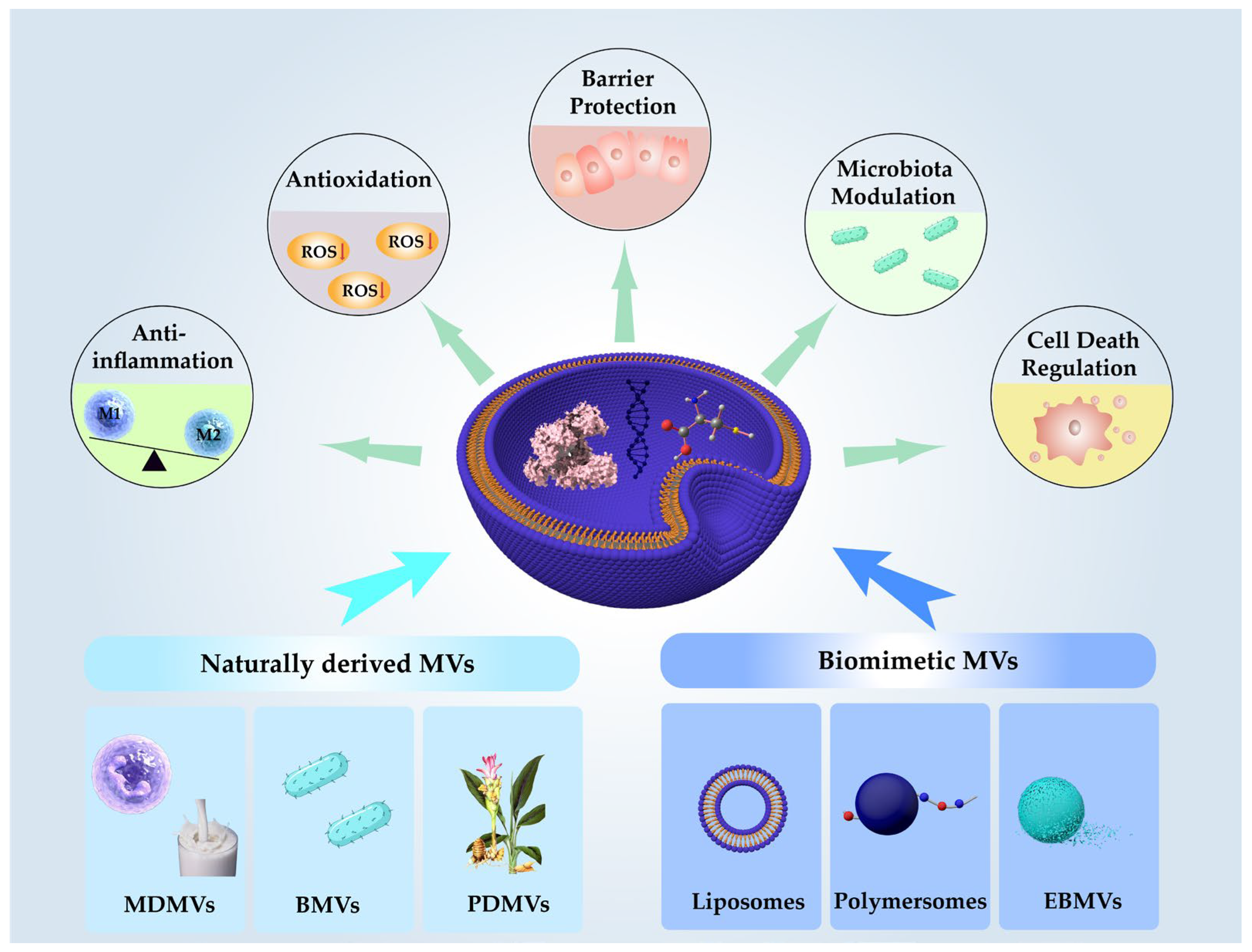 Pharmaceutics 17 01127 g001