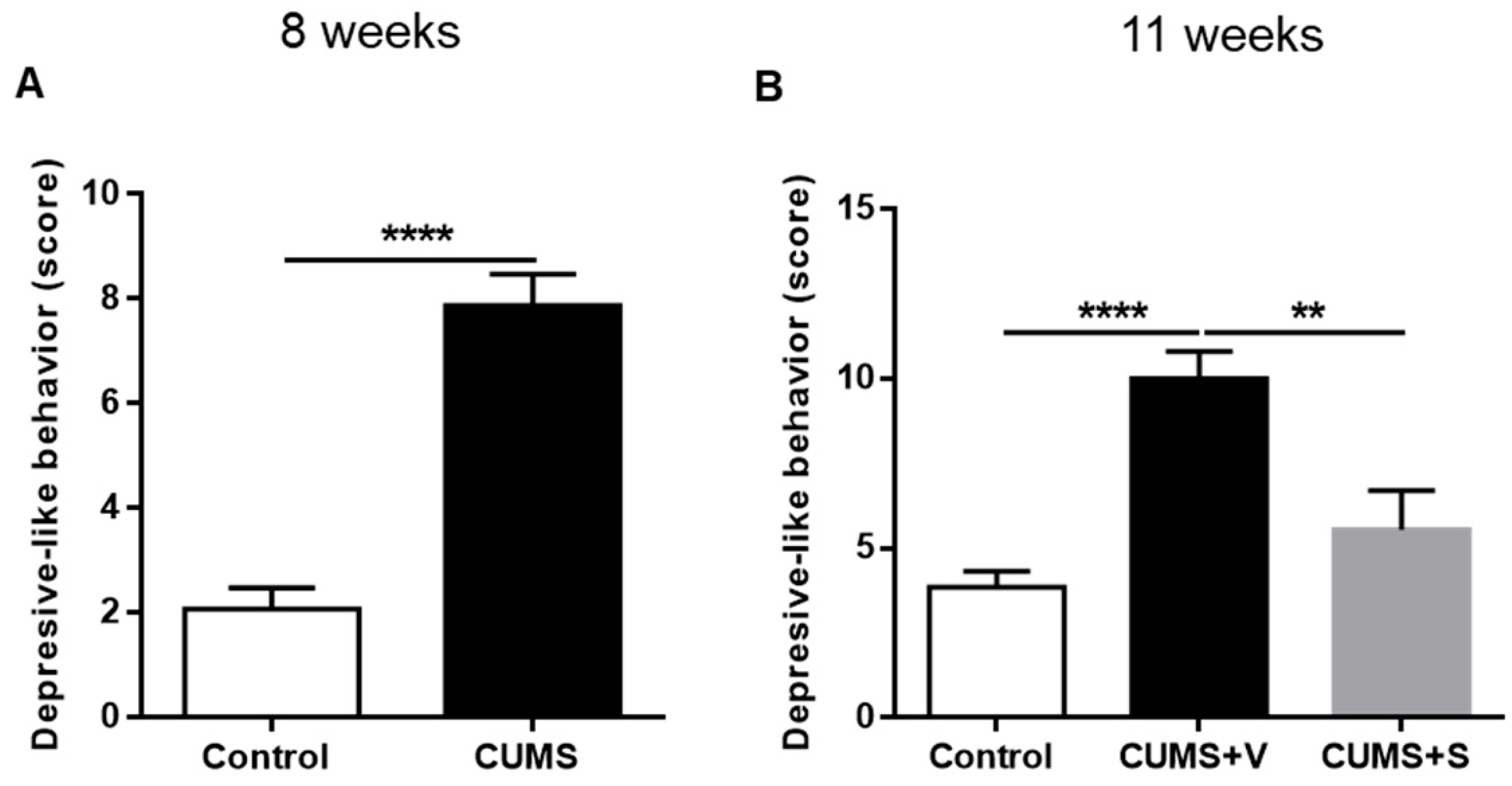 Pharmaceutics 17 01129 g006 Pharmaceutics 17 01129 g006