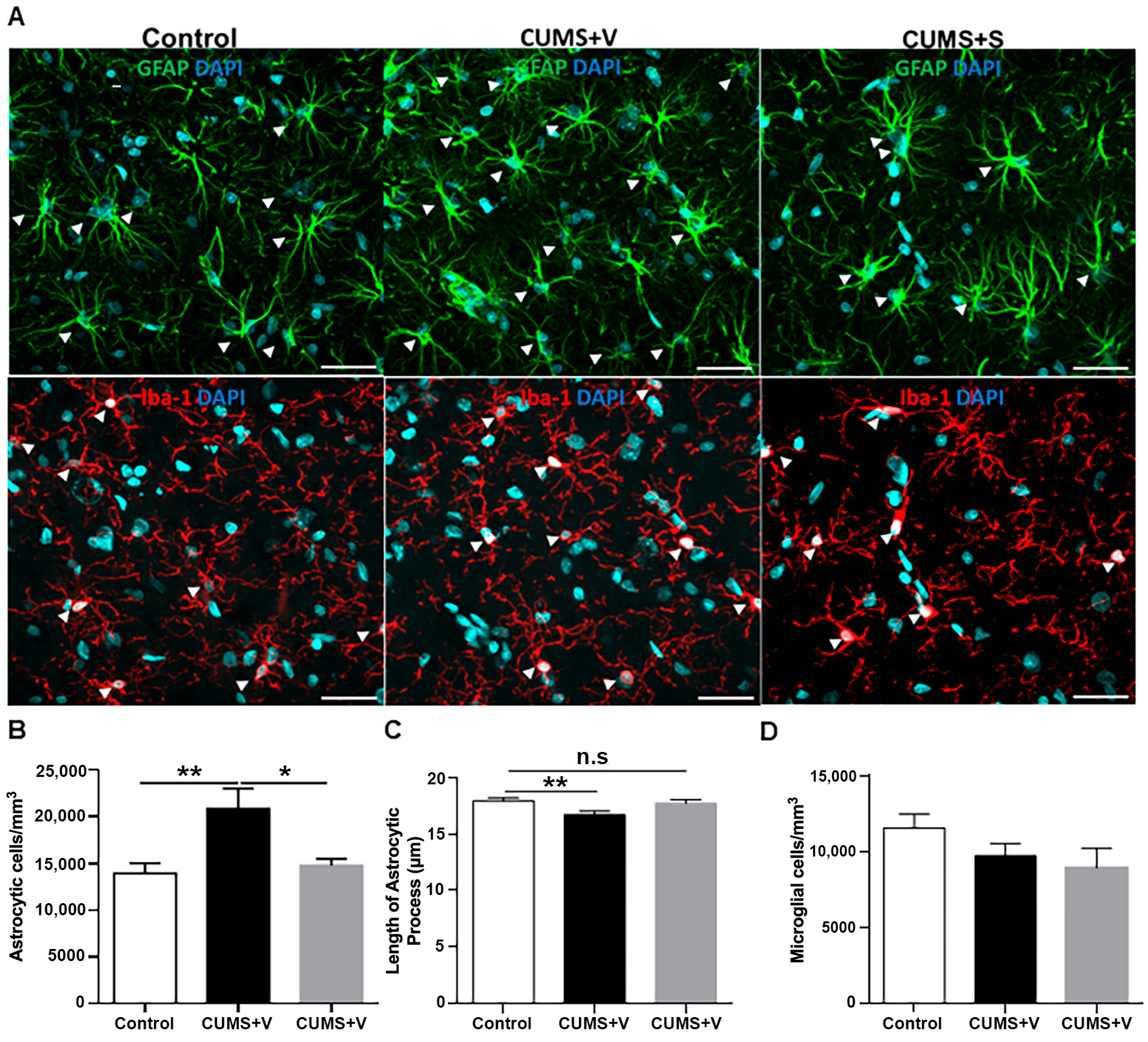 Pharmaceutics 17 01129 g007 Pharmaceutics 17 01129 g007