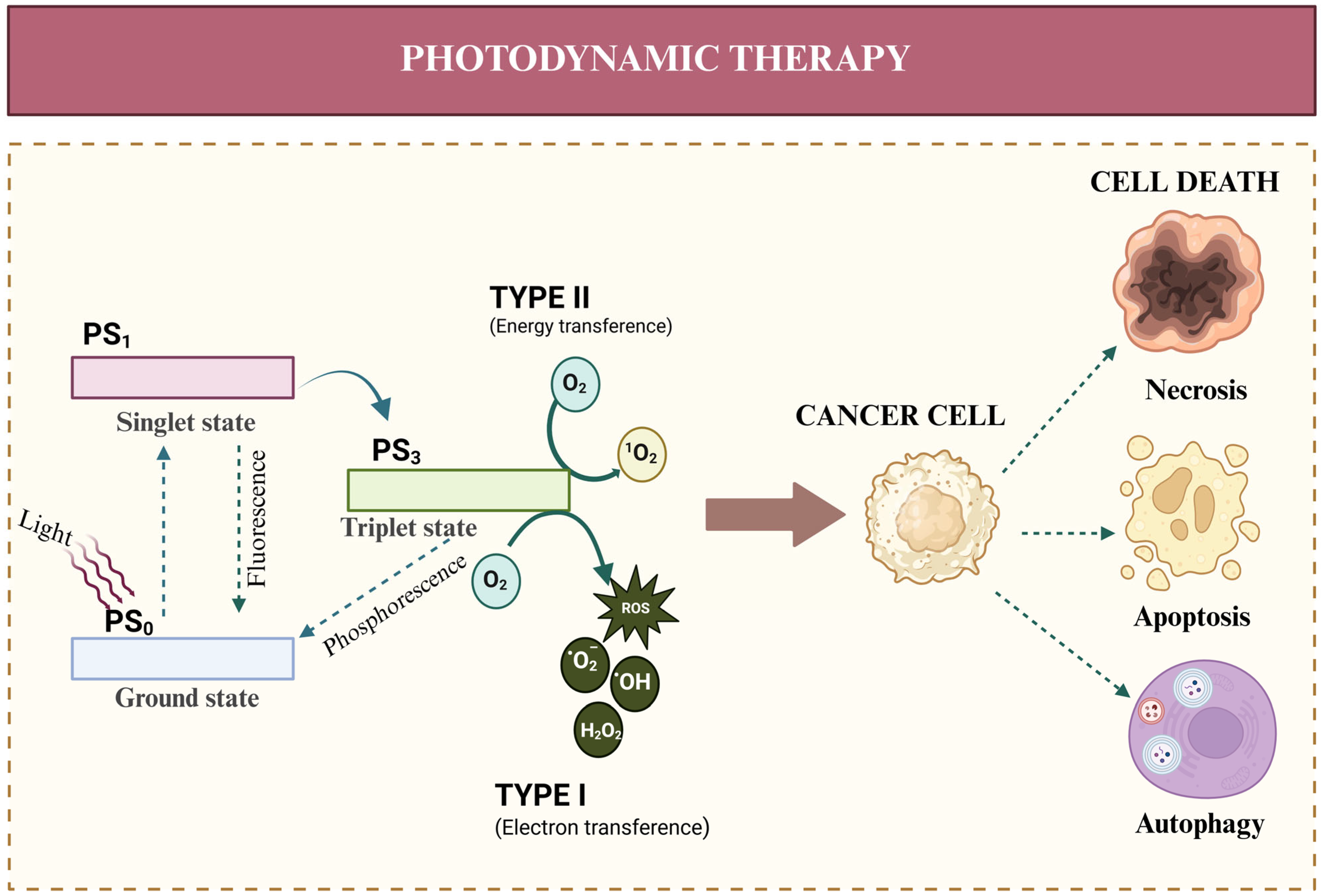 Pharmaceutics 17 01132 g001 Pharmaceutics 17 01132 g001