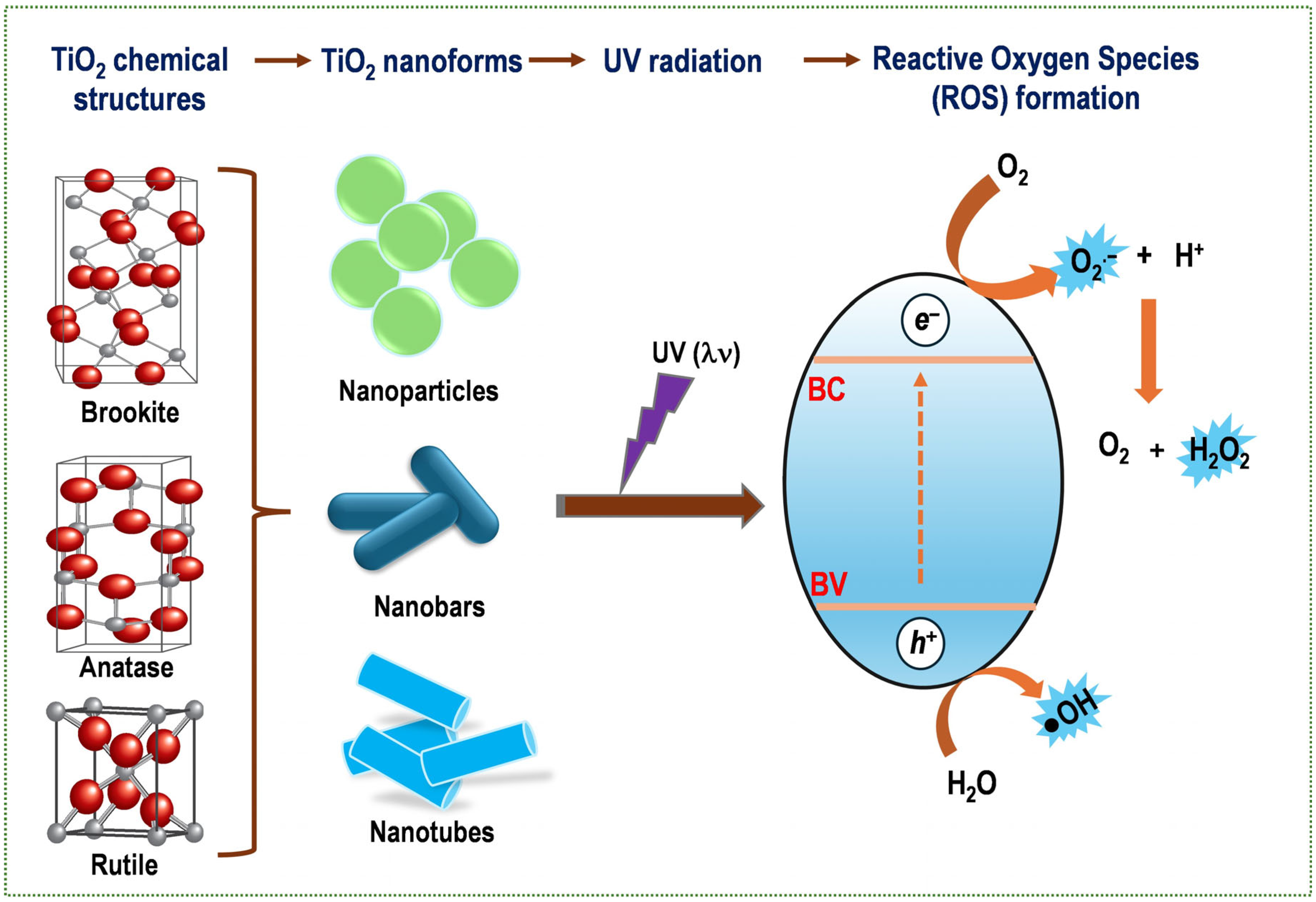 Pharmaceutics 17 01132 g004 Pharmaceutics 17 01132 g004