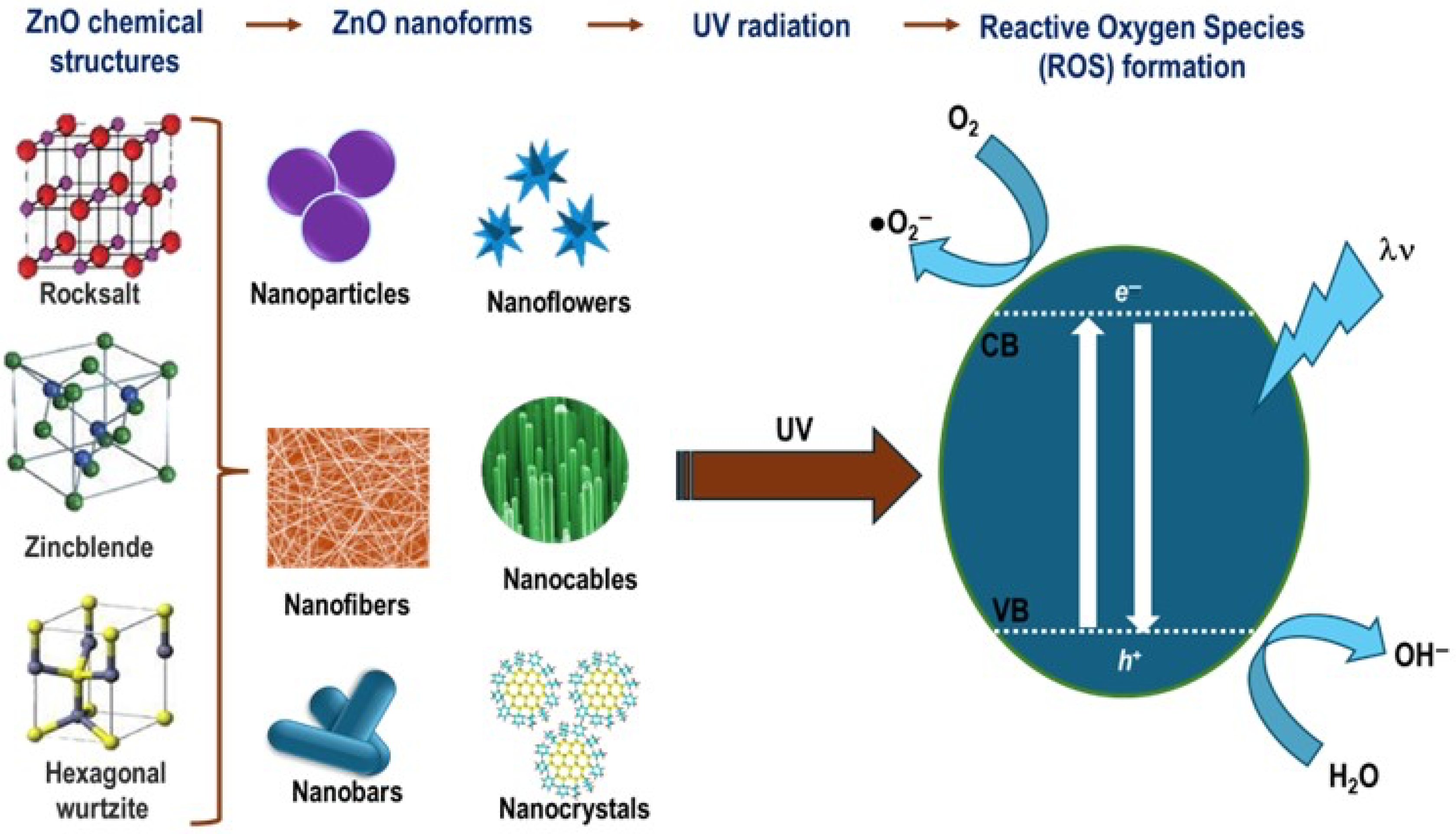 Pharmaceutics 17 01132 g005 Pharmaceutics 17 01132 g005