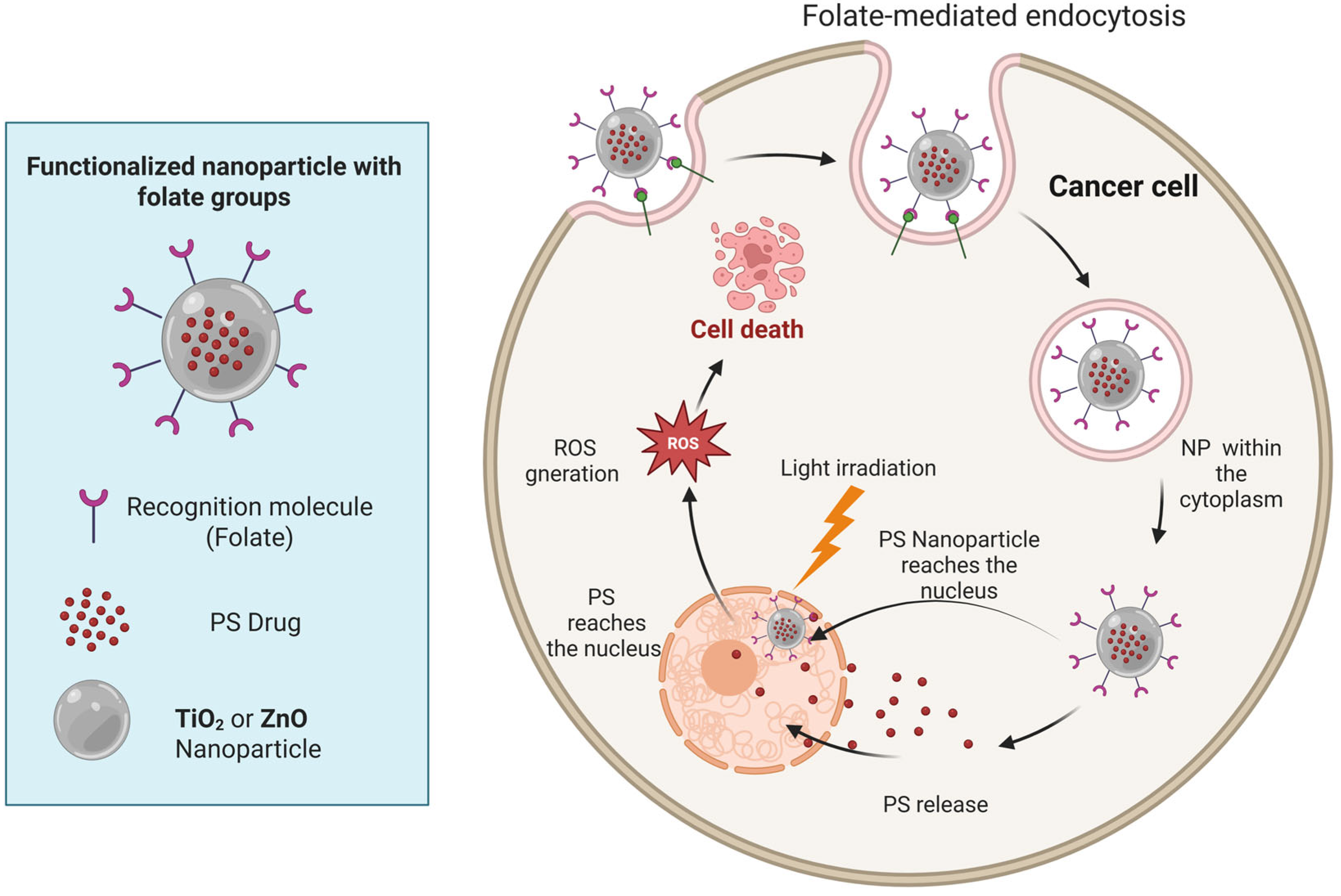Pharmaceutics 17 01132 g006 Pharmaceutics 17 01132 g006