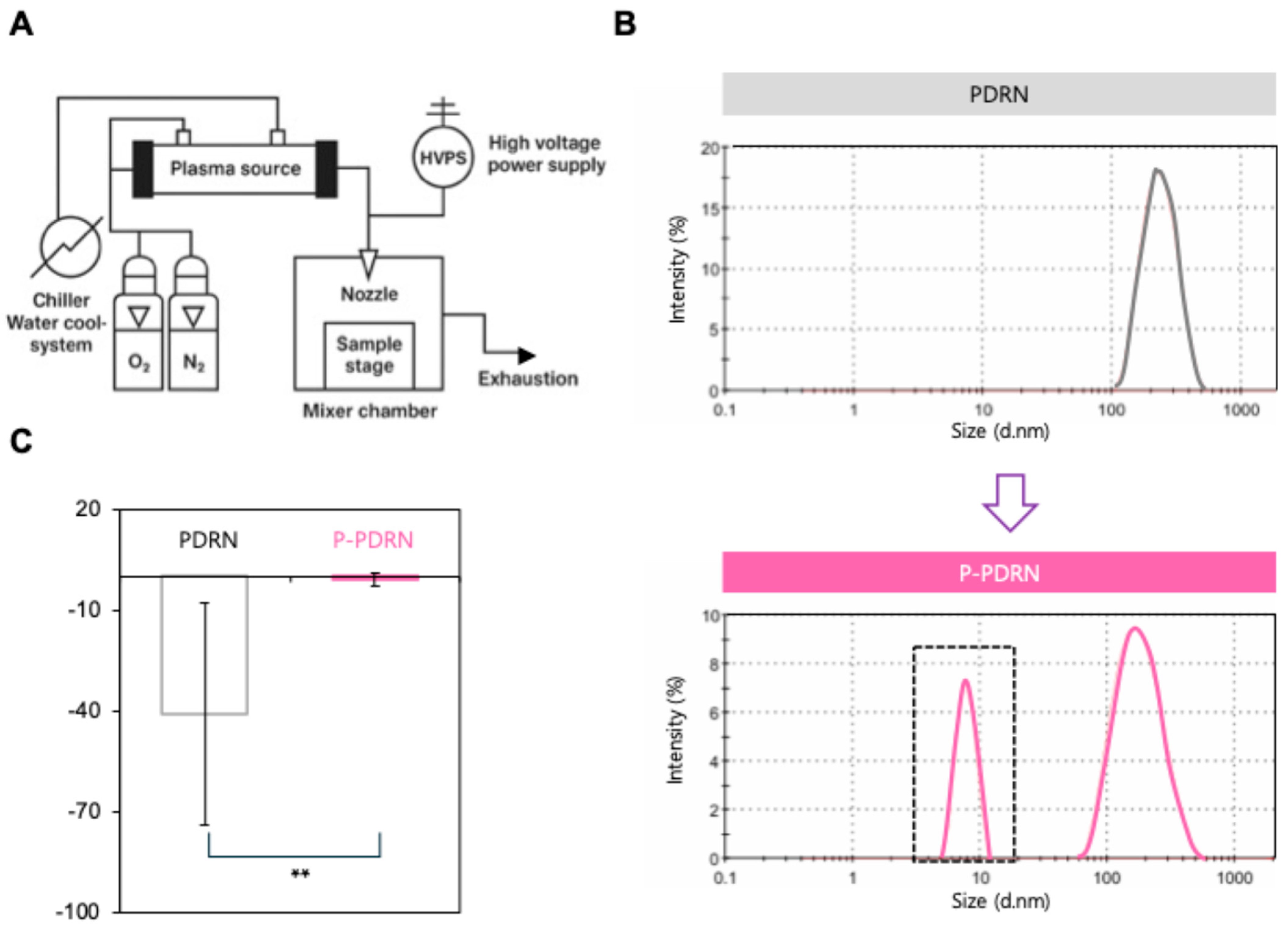 Pharmaceutics 17 01136 g001 Pharmaceutics 17 01136 g001